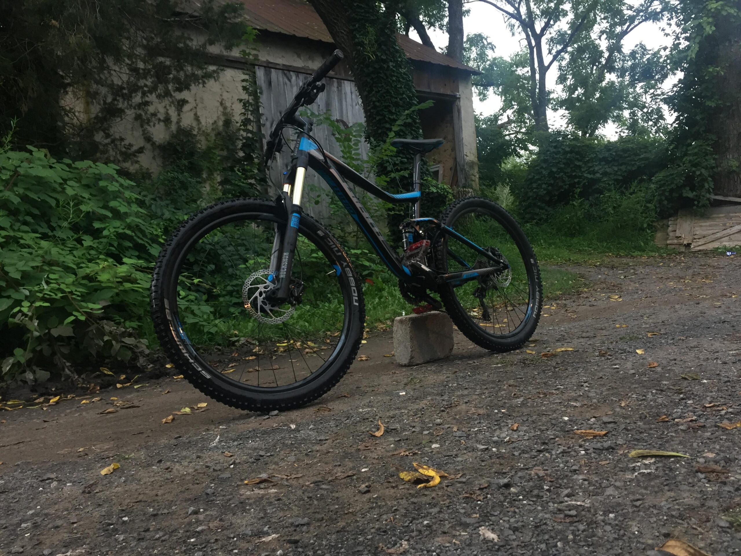 Giant Trance: A mountain bike leaning against a concrete block on a gravel path, surrounded by overgrown greenery and a weathered building in the background. The bike features a black and blue design with thick tires and a front suspension.