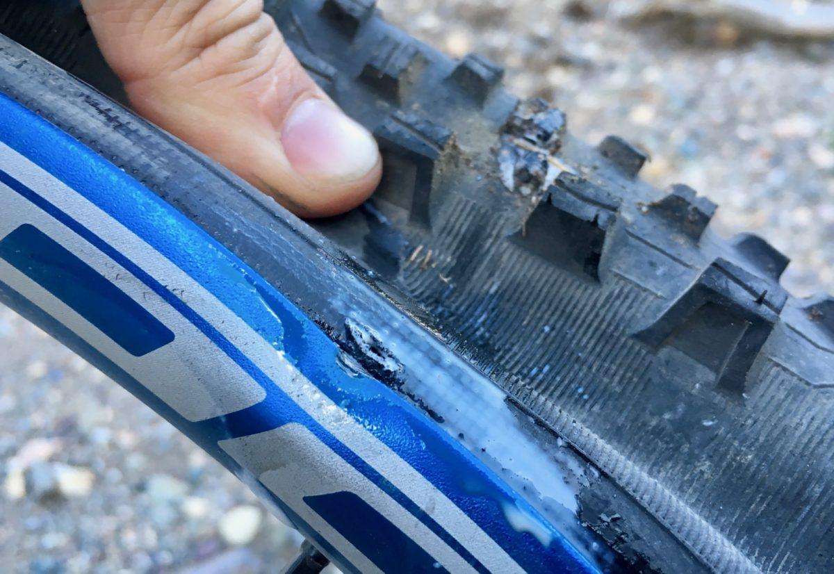 Michelin Wild AM: A close-up image of a person's hand pressing against a damaged bicycle tire, showing a puncture and visible wear on the sidewall. The tire appears partially deflated, with a blue rim visible in the background.