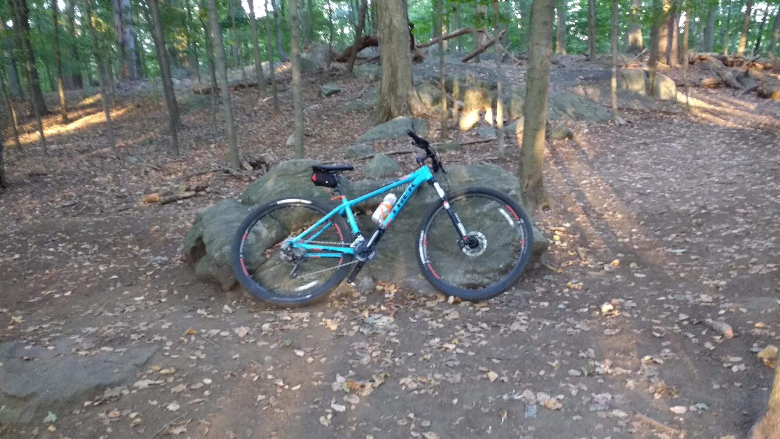 Trek X Caliber 9: A mountain bike rests against a large rock in a wooded area, surrounded by trees and fallen leaves on the ground, with soft sunlight filtering through the branches.