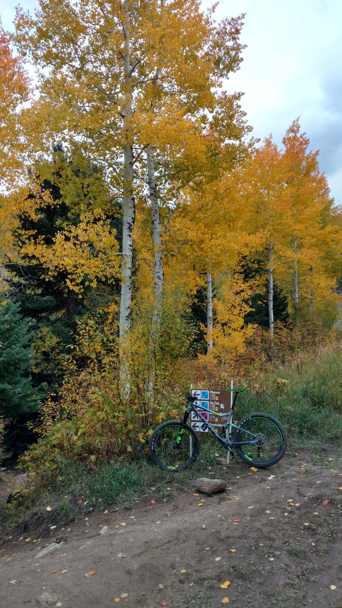 A mountain bike leaning against a trail sign in a forested area, surrounded by vibrant autumn foliage of yellow and orange leaves. The background features tall trees and underbrush, creating a picturesque scene of nature in fall. Steamboat Ski Resort mountain bike trail.