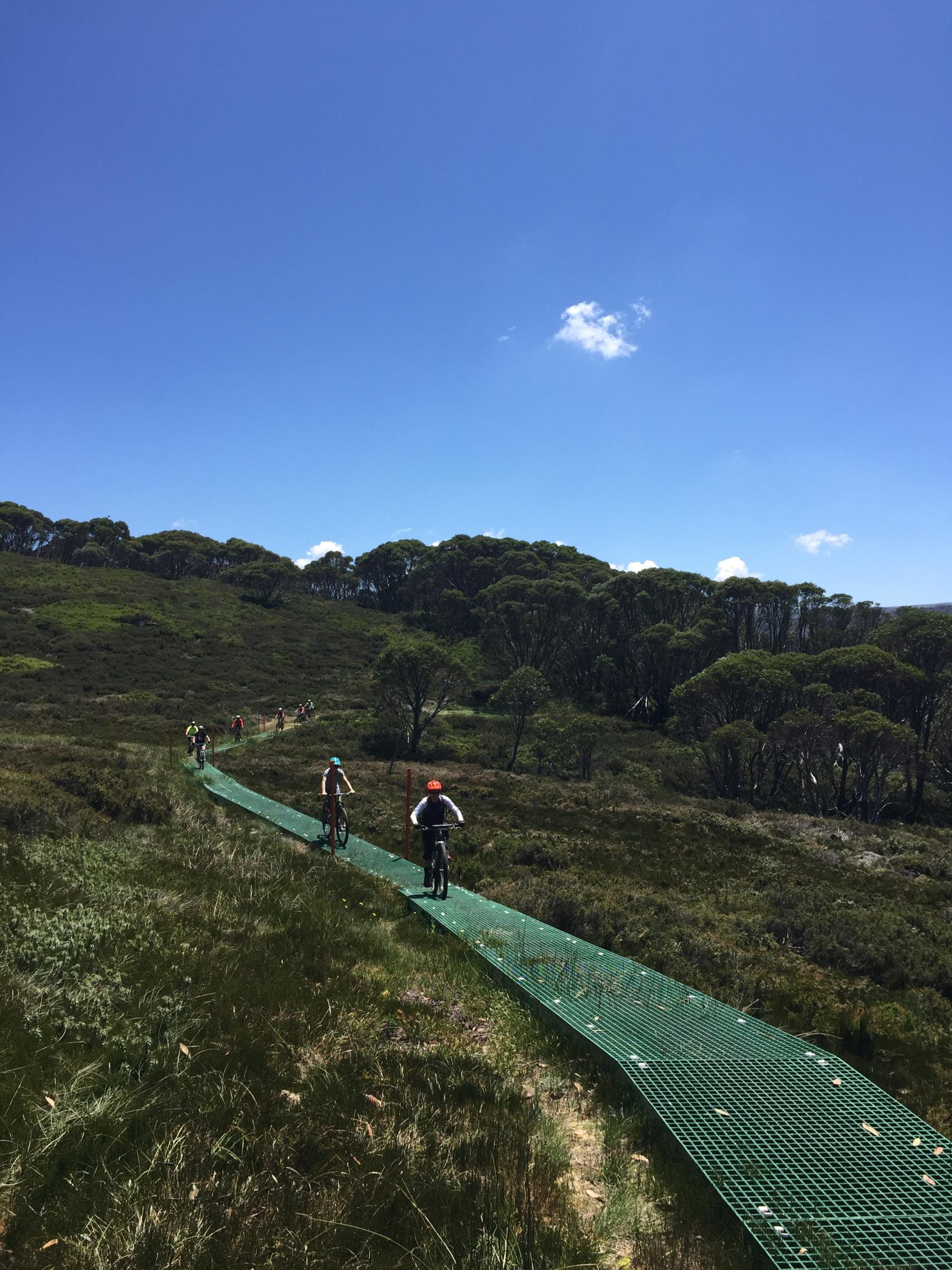 A group of mountain bikers riding along a green mesh trail through a scenic landscape, surrounded by lush greenery and trees under a bright blue sky with a few clouds. Lakeview mountain bike trail.