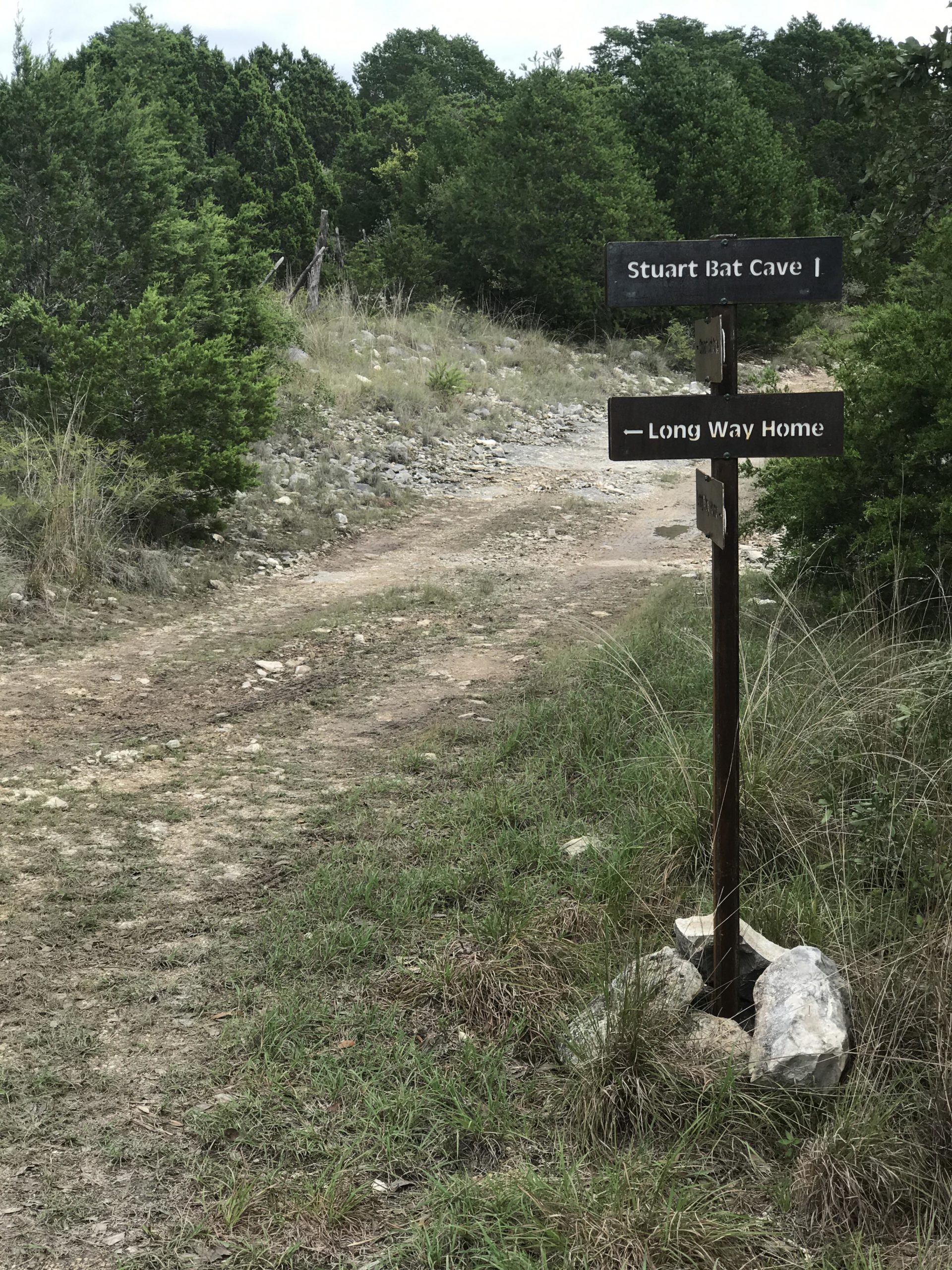 A weathered wooden signpost indicating two paths: one leading to "Stuart Bat Cave I" and the other labeled "Long Way Home." The surrounding area features a rocky dirt trail, sparse grass, and dense green foliage in the background, indicating a natural outdoor setting. Kickapoo Cavern State Park mountain bike trail.