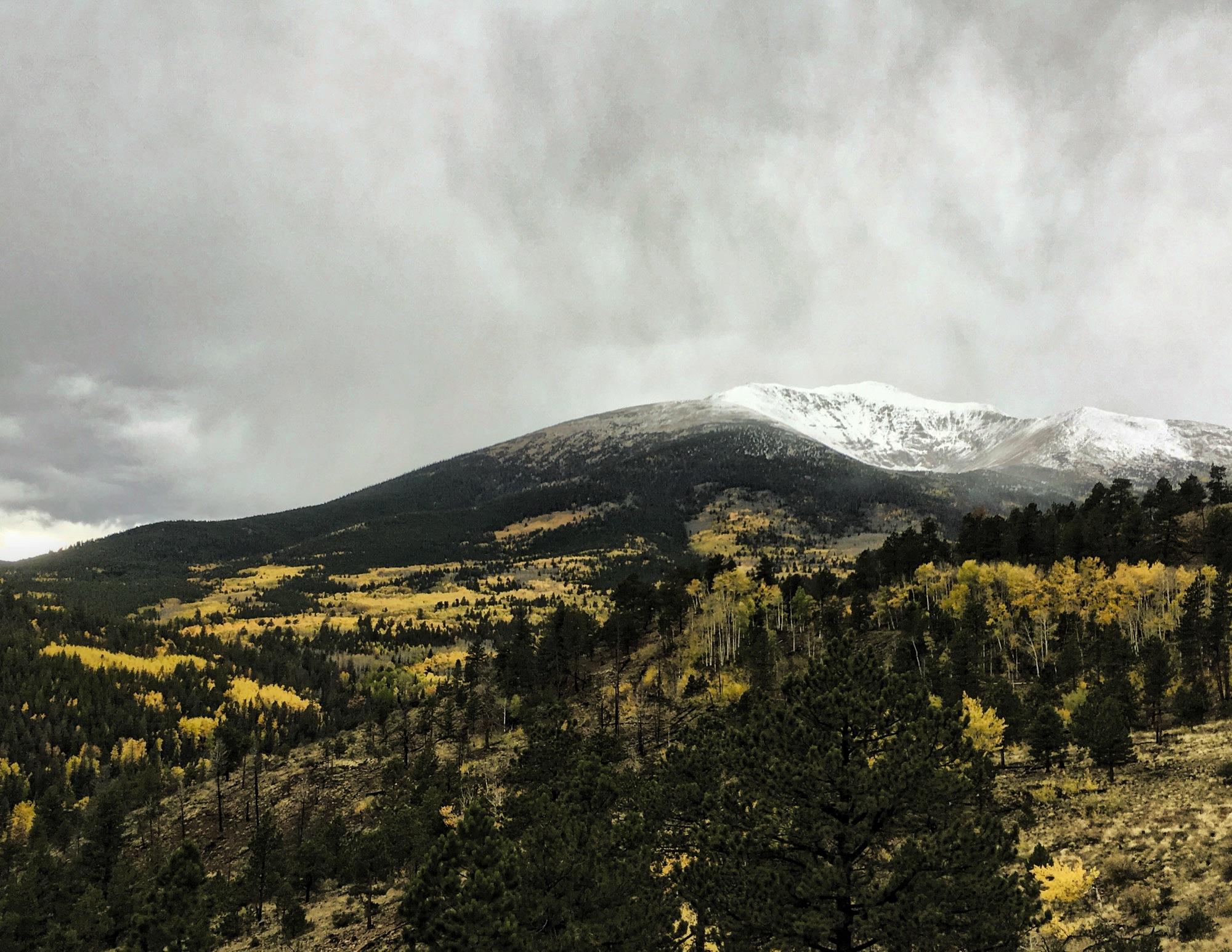 A scenic view of a mountainous landscape under a cloudy sky, featuring snow-capped peaks in the background. The foreground showcases a mix of evergreen trees and fields of golden-yellow foliage, suggesting an autumn setting. The contrast between the snowy mountains and the colorful terrain creates a striking natural scene. Marshall Pass Road / #200 / #203 / #243 mountain bike trail.
