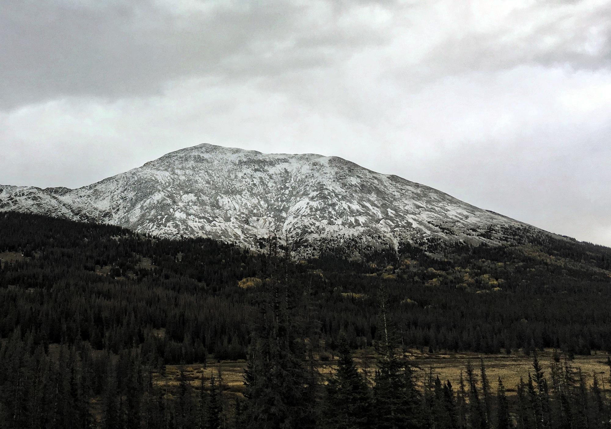 A snow-capped mountain looms against a cloudy sky, surrounded by dense evergreen forest. The foreground features trees and a grassy area, creating a serene natural landscape. Marshall Pass Road / #200 / #203 / #243 mountain bike trail.