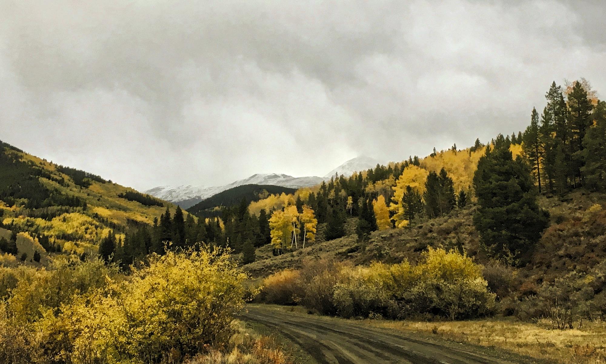 A scenic landscape featuring rolling hills covered in vibrant autumn foliage, with a mix of yellow and green trees. In the background, snowy mountain peaks rise beneath a cloudy sky, while a dirt road winds through the foreground, surrounded by lush vegetation. Marshall Pass Road / #200 / #203 / #243 mountain bike trail.