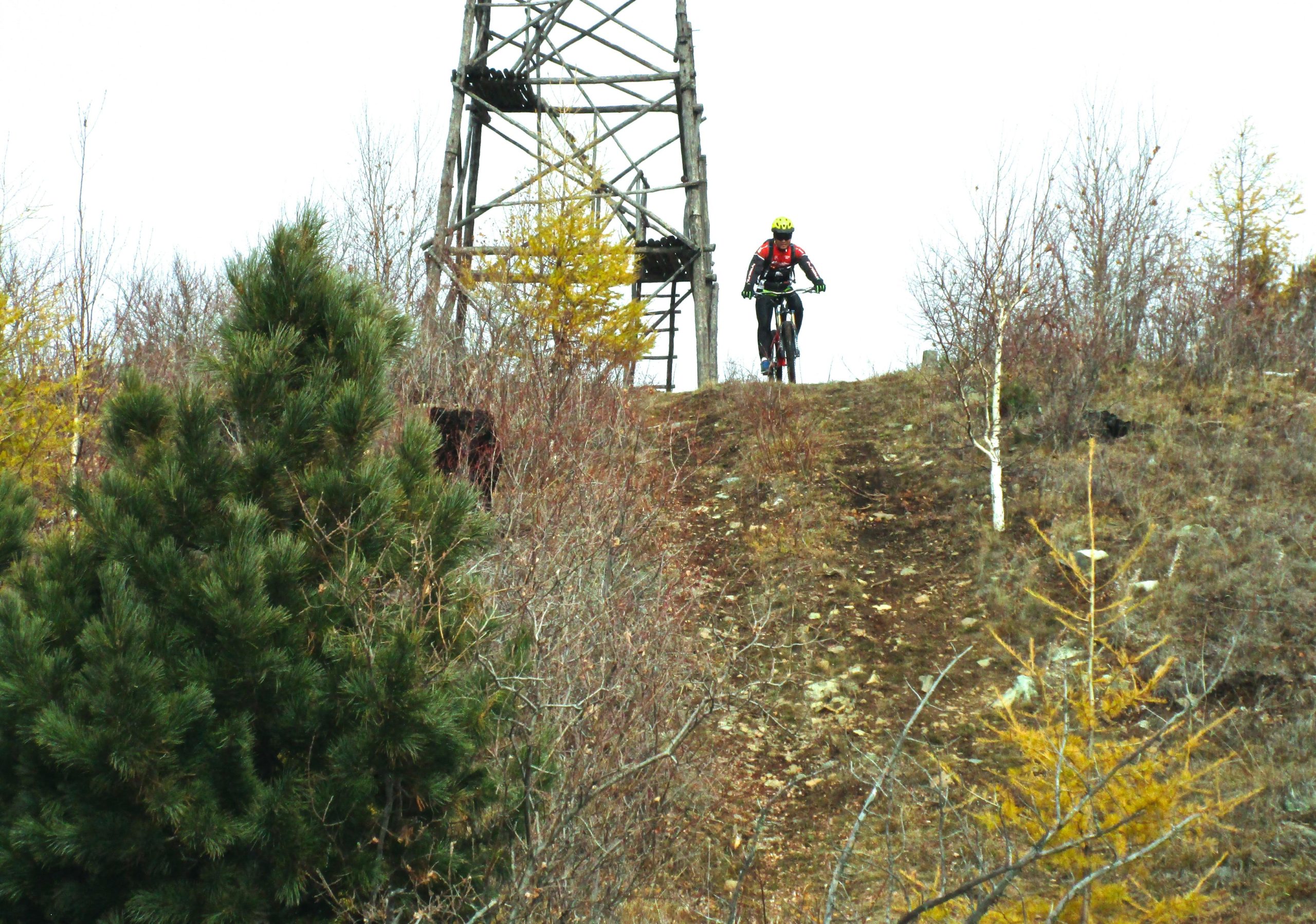 A mountain biker wearing a yellow helmet and riding gear ascends a dirt path on a hillside, with a wooden tower in the background. Surrounding vegetation includes sparse trees and shrubs, indicative of a late autumn or early spring setting. The scene captures the thrill of outdoor mountain biking amidst nature. Shargamorit Khandgait Hills East mountain bike trail.