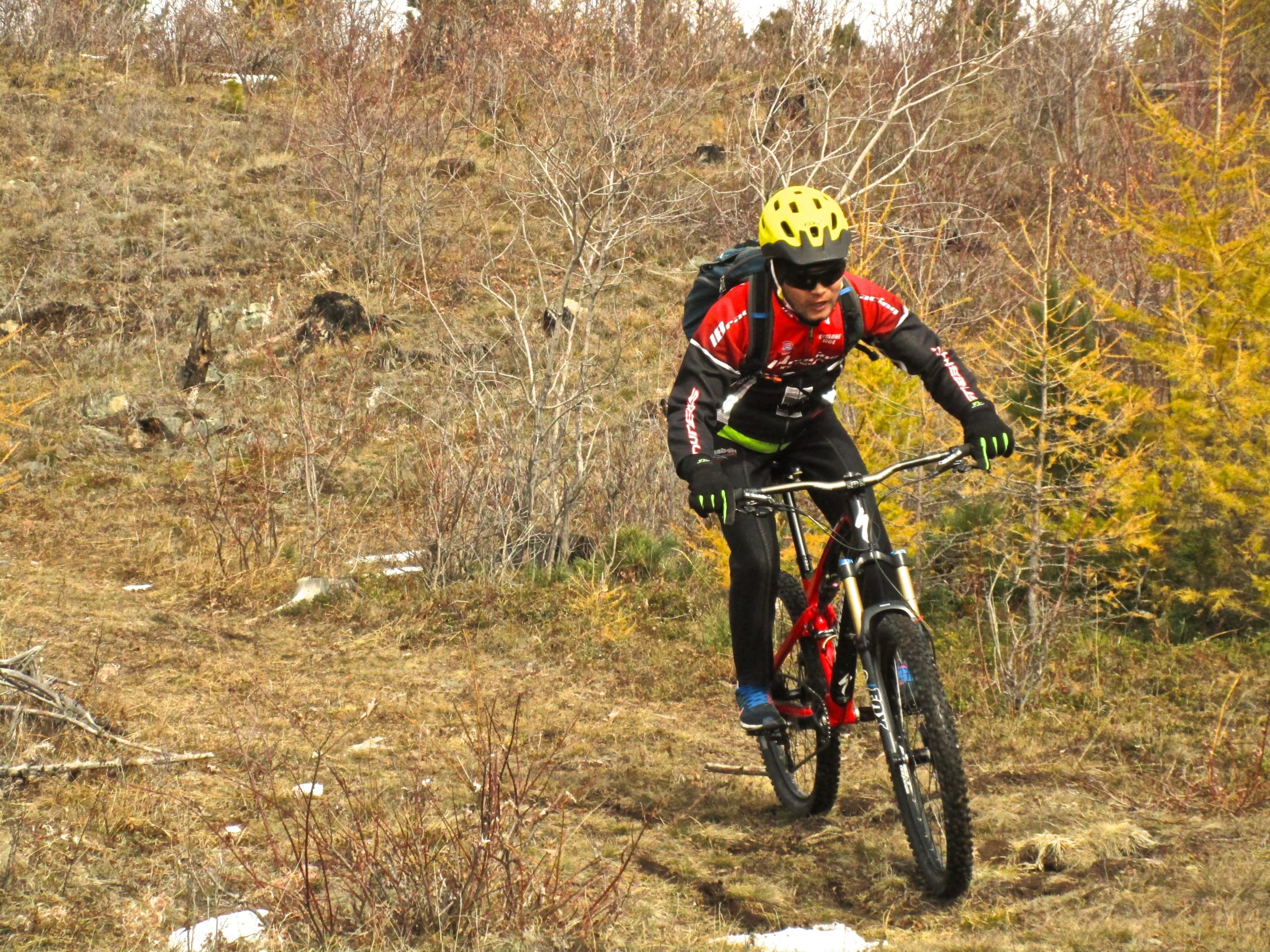 A person wearing a yellow helmet and dark cycling gear rides a mountain bike down a rugged, grassy trail surrounded by sparse vegetation and trees. Shargamorit Khandgait Hills East mountain bike trail.