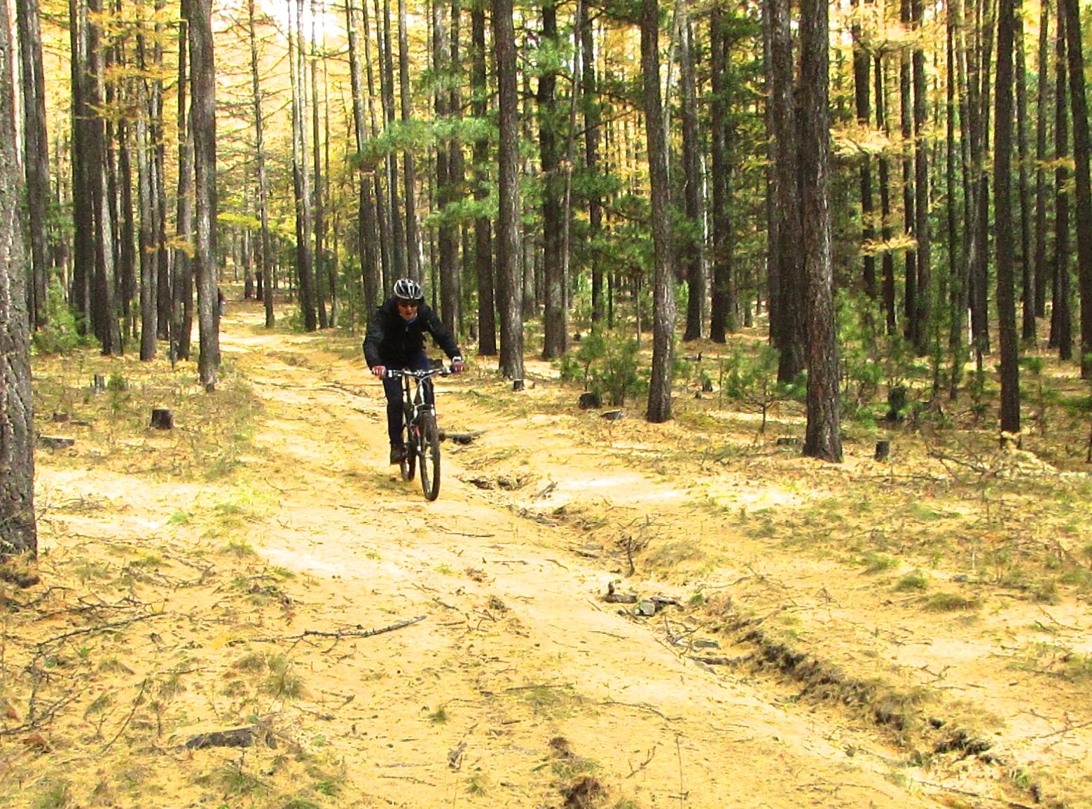 A person riding a mountain bike along a sandy trail in a forest, surrounded by tall trees with golden leaves. Selkh Am mountain bike trail.