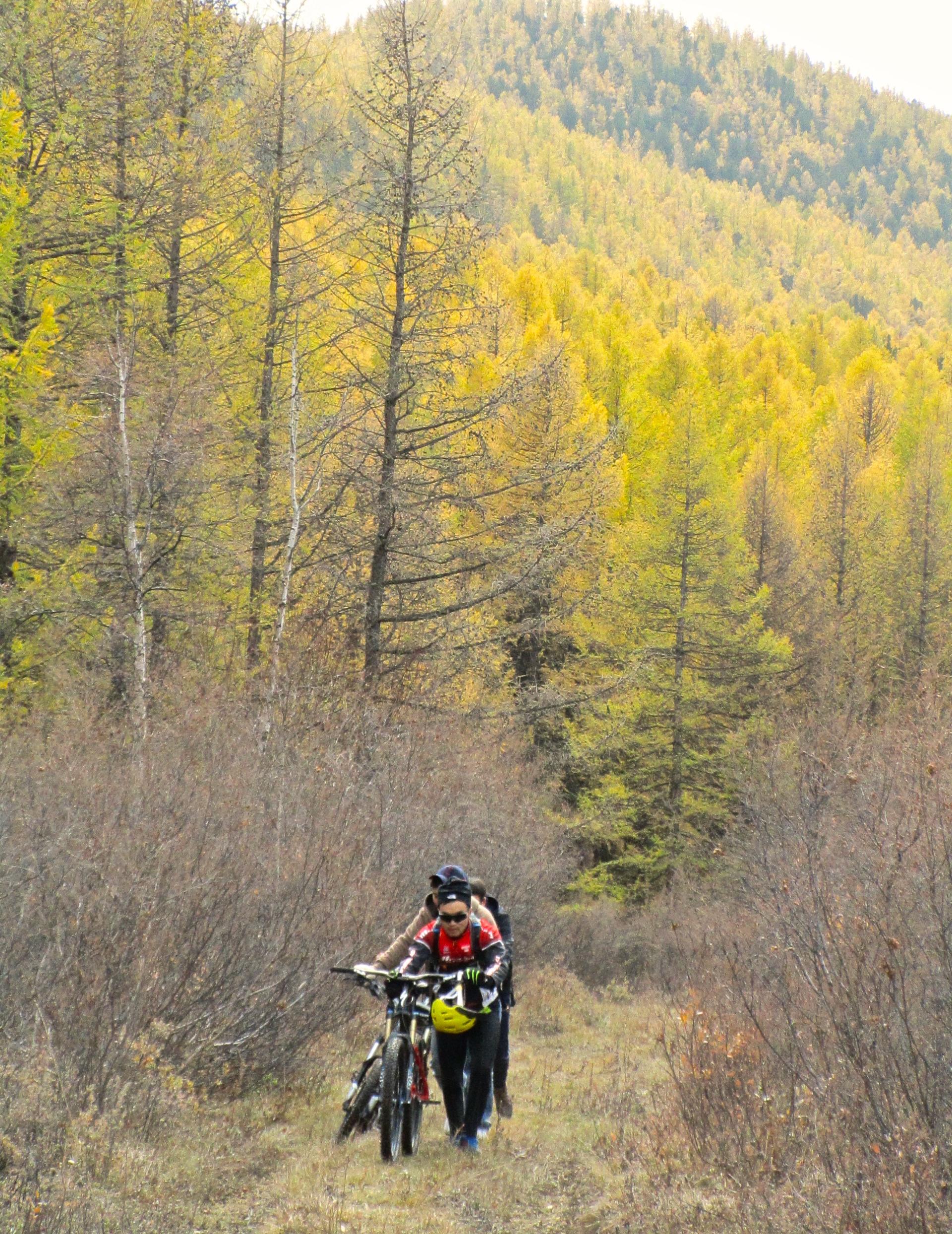 Two cyclists walking their bikes along a narrow trail in a forest with autumn foliage. The background features a lush, green hillside with golden trees. The scene conveys a sense of outdoor adventure and natural beauty. Selkh Am mountain bike trail.