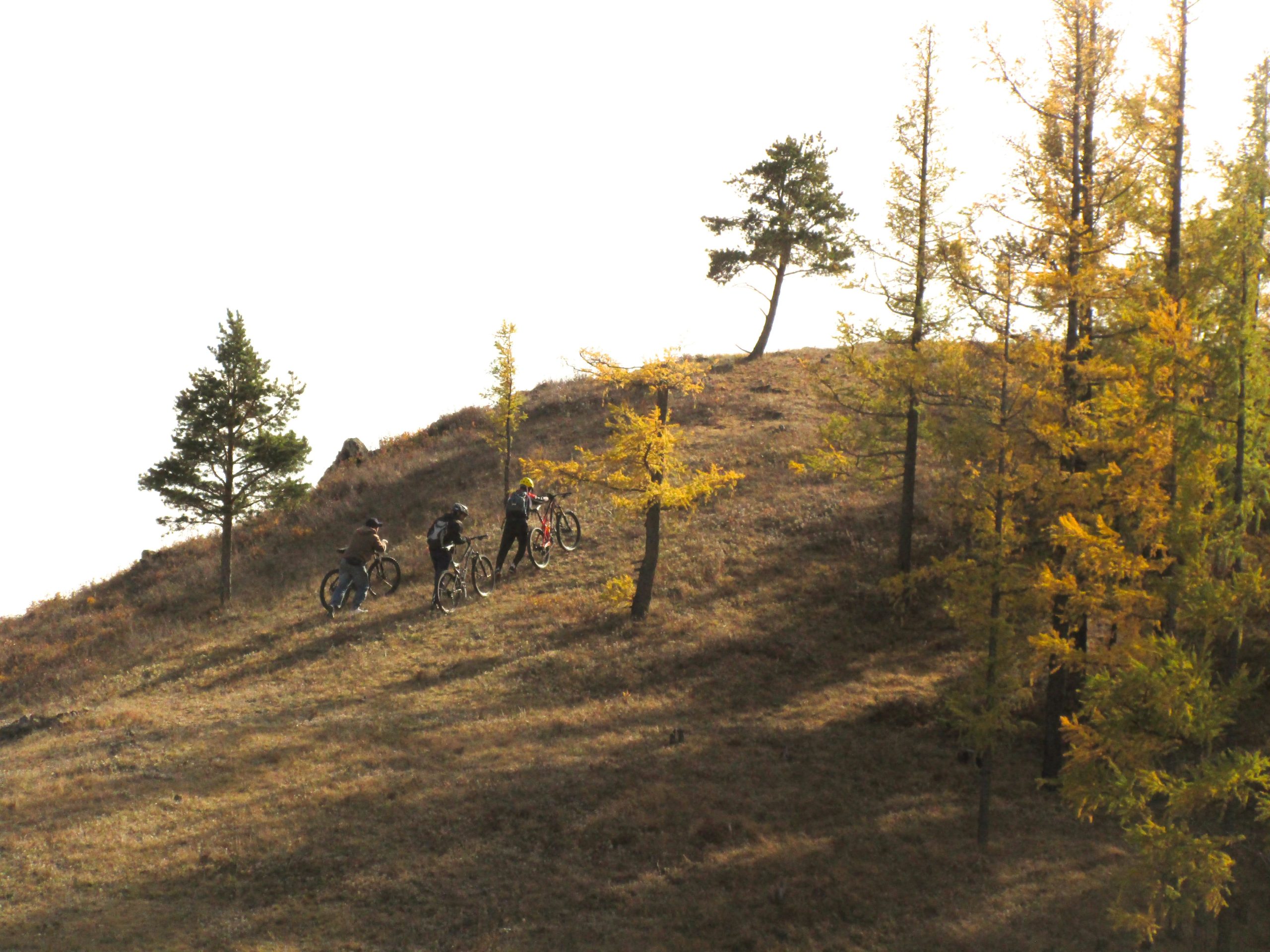 Three mountain bikers climbing a hillside, surrounded by trees with autumn foliage. The landscape features a mix of grassy terrain and rocky outcrops under a bright sky. Selkh Am mountain bike trail.