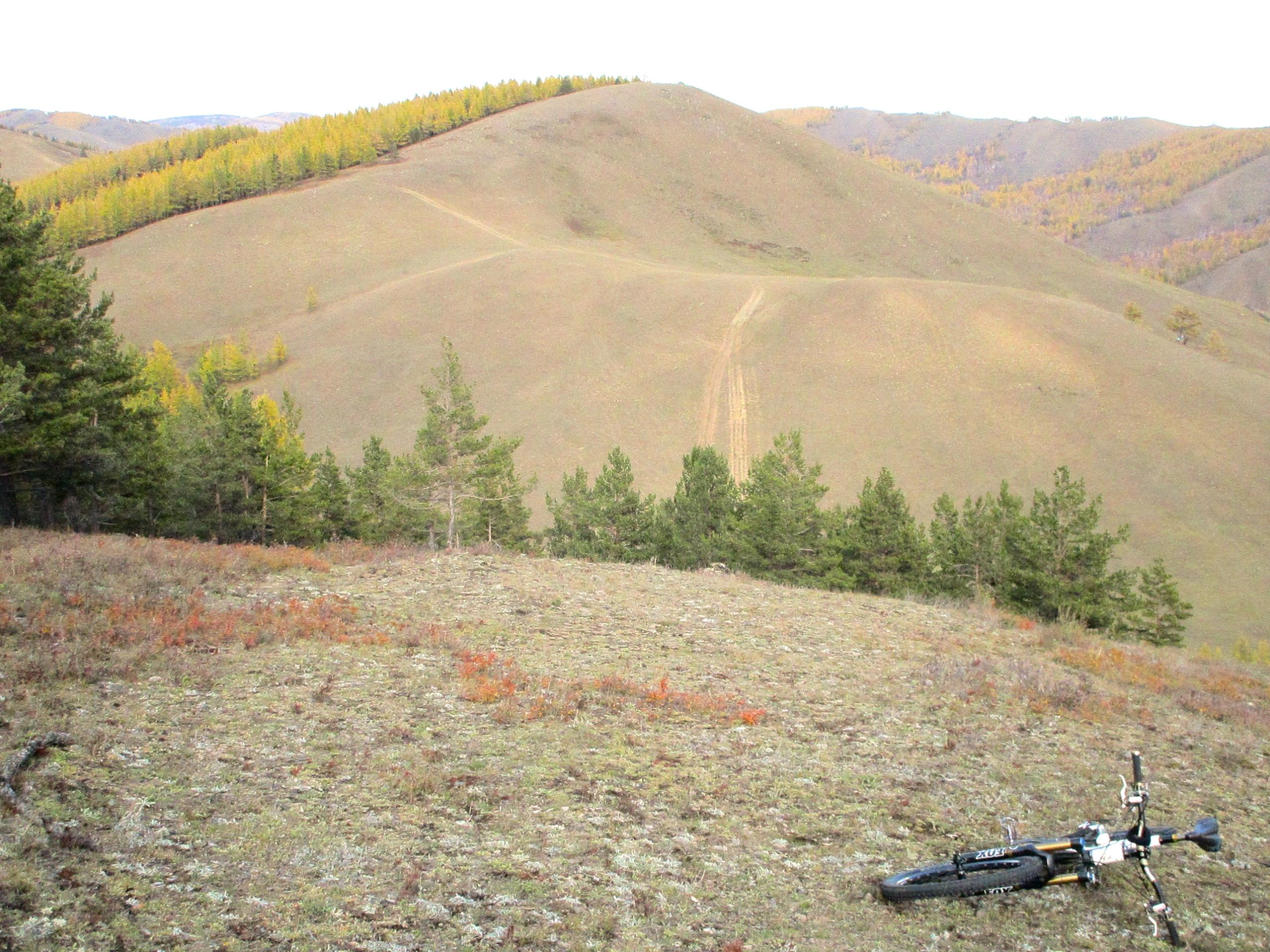 A scenic landscape featuring rolling hills covered with grass and sparse trees, with a dirt path winding through the hills. In the foreground, a black mountain bike rests on the ground beside patches of colorful foliage. The backdrop includes additional hills under a clear sky. Selkh Am mountain bike trail.