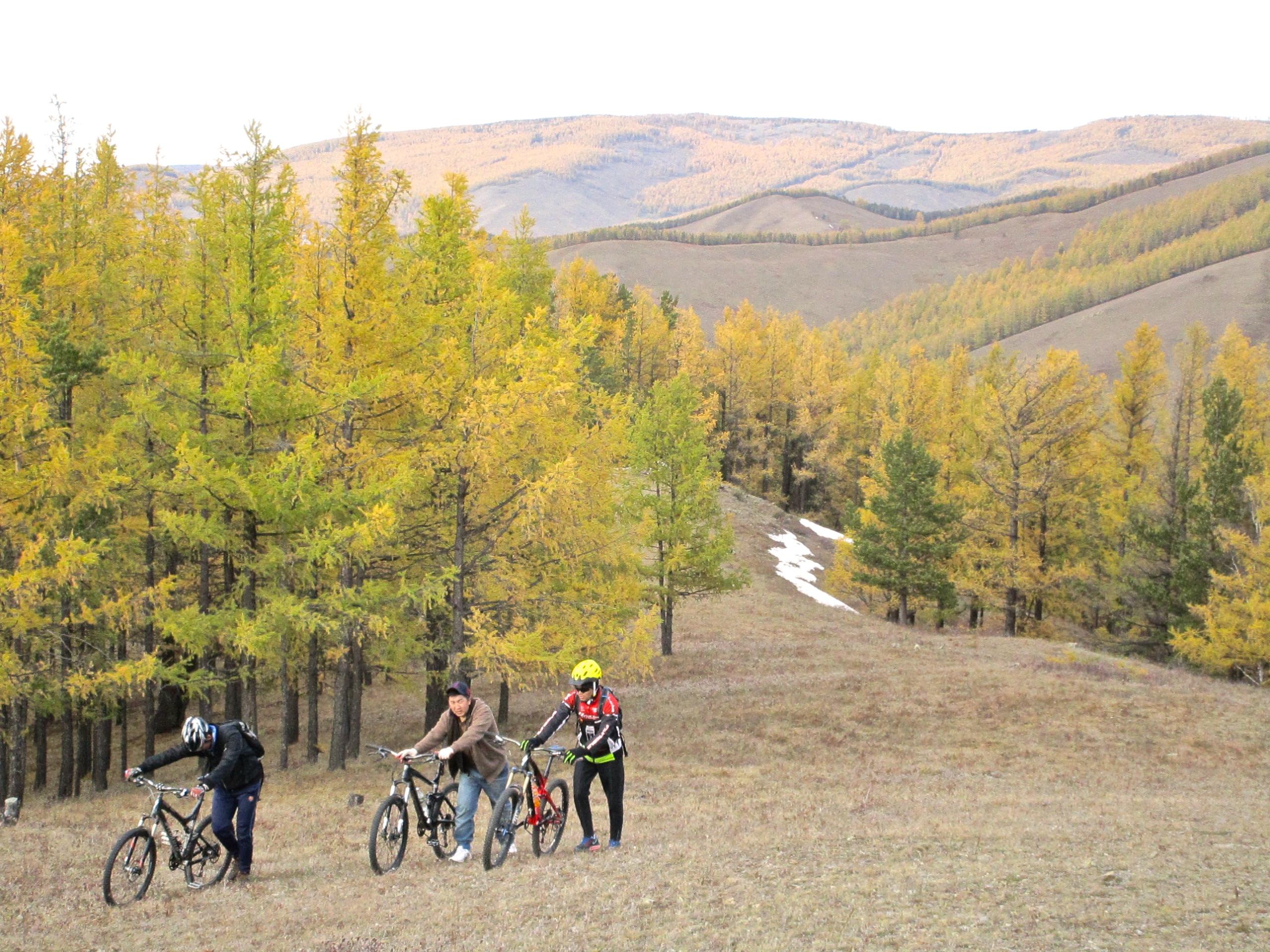 A group of three mountain bikers pushing their bikes uphill through a landscape of golden autumn trees and rolling hills. In the background, distant mountains are visible under a clear sky. Selkh Am mountain bike trail.