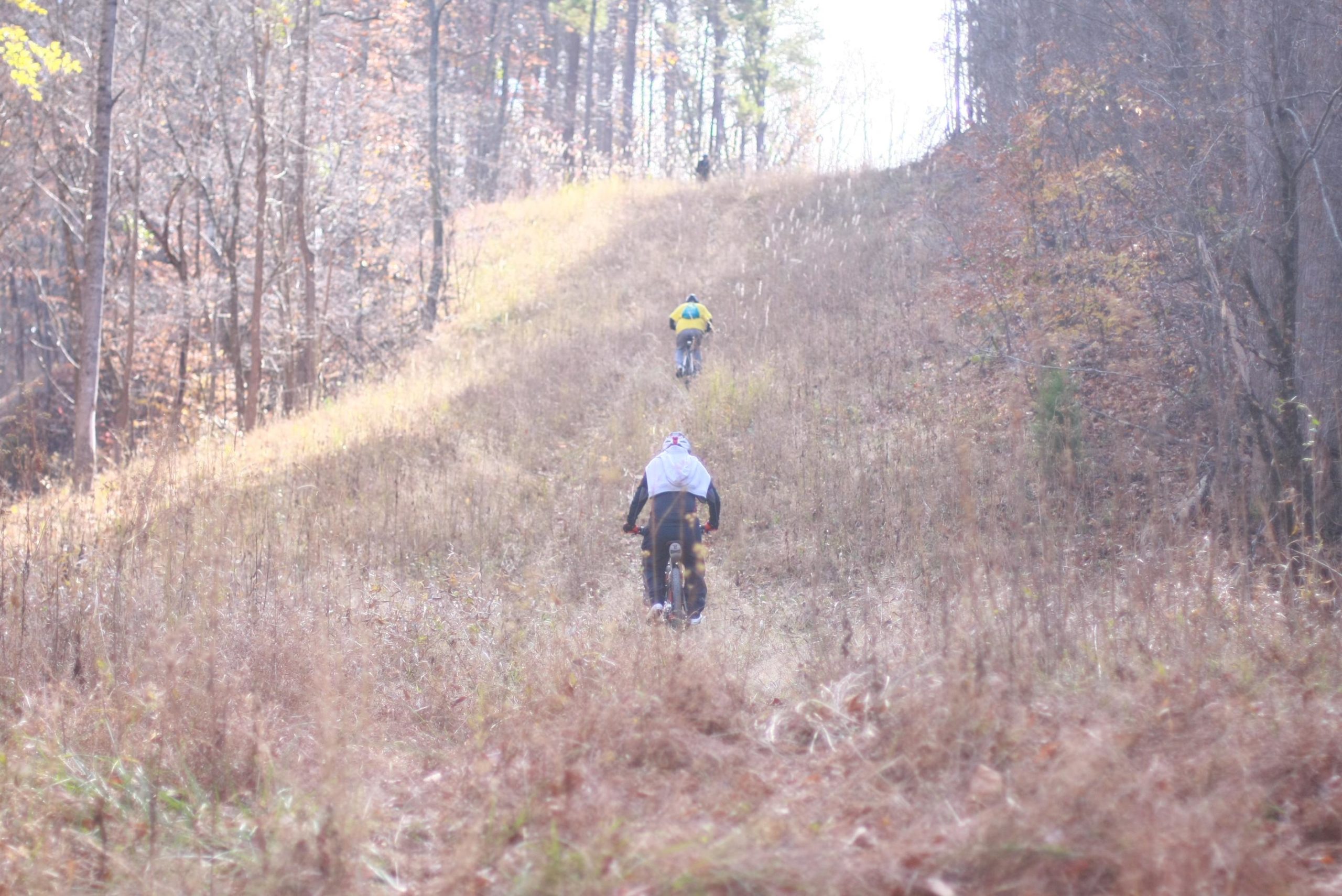 Two mountain bikers ascend a grassy, sloped trail surrounded by trees in a forest during autumn. The scene is illuminated by soft sunlight filtering through the branches, highlighting the fall foliage. Cedar Ridge Chatmoss mountain bike trail.