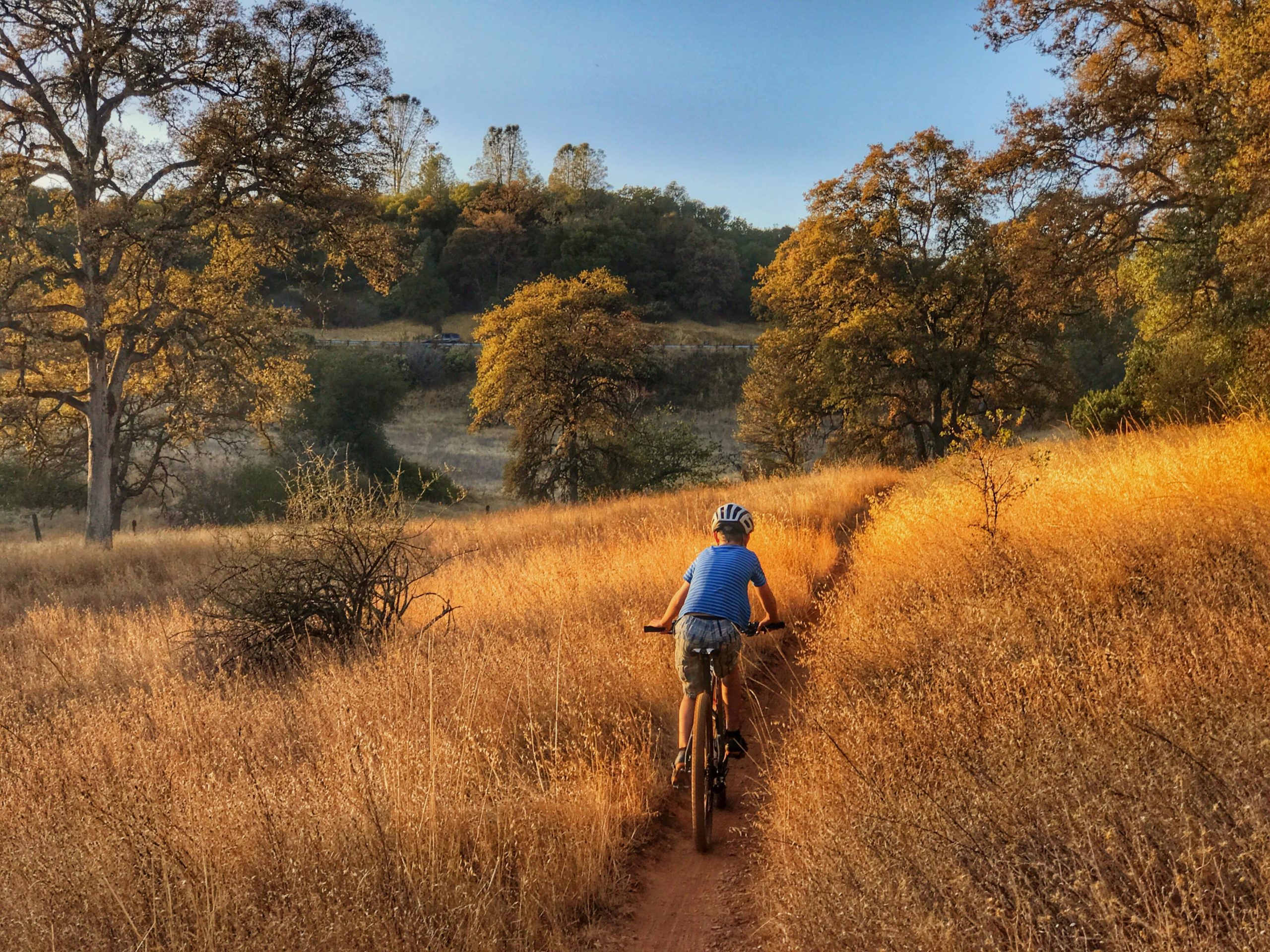 A child riding a bicycle on a dirt trail surrounded by tall, golden grass and trees during sunset. The warm light casts a serene atmosphere over the scene. Foresthill Divide mountain bike trail.