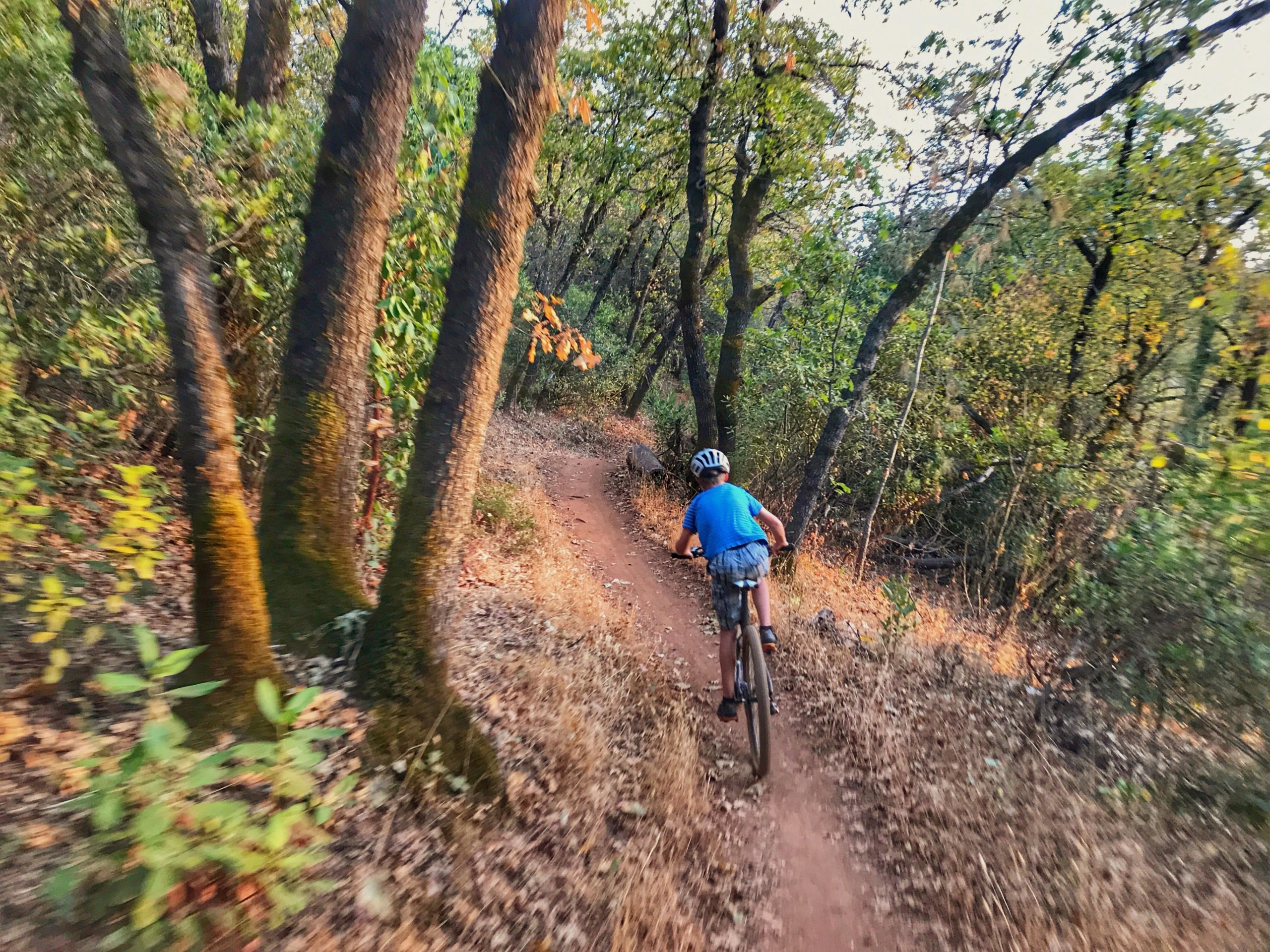 A child riding a mountain bike along a dirt path in a wooded area, surrounded by trees and foliage in autumn colors. Foresthill Divide mountain bike trail.