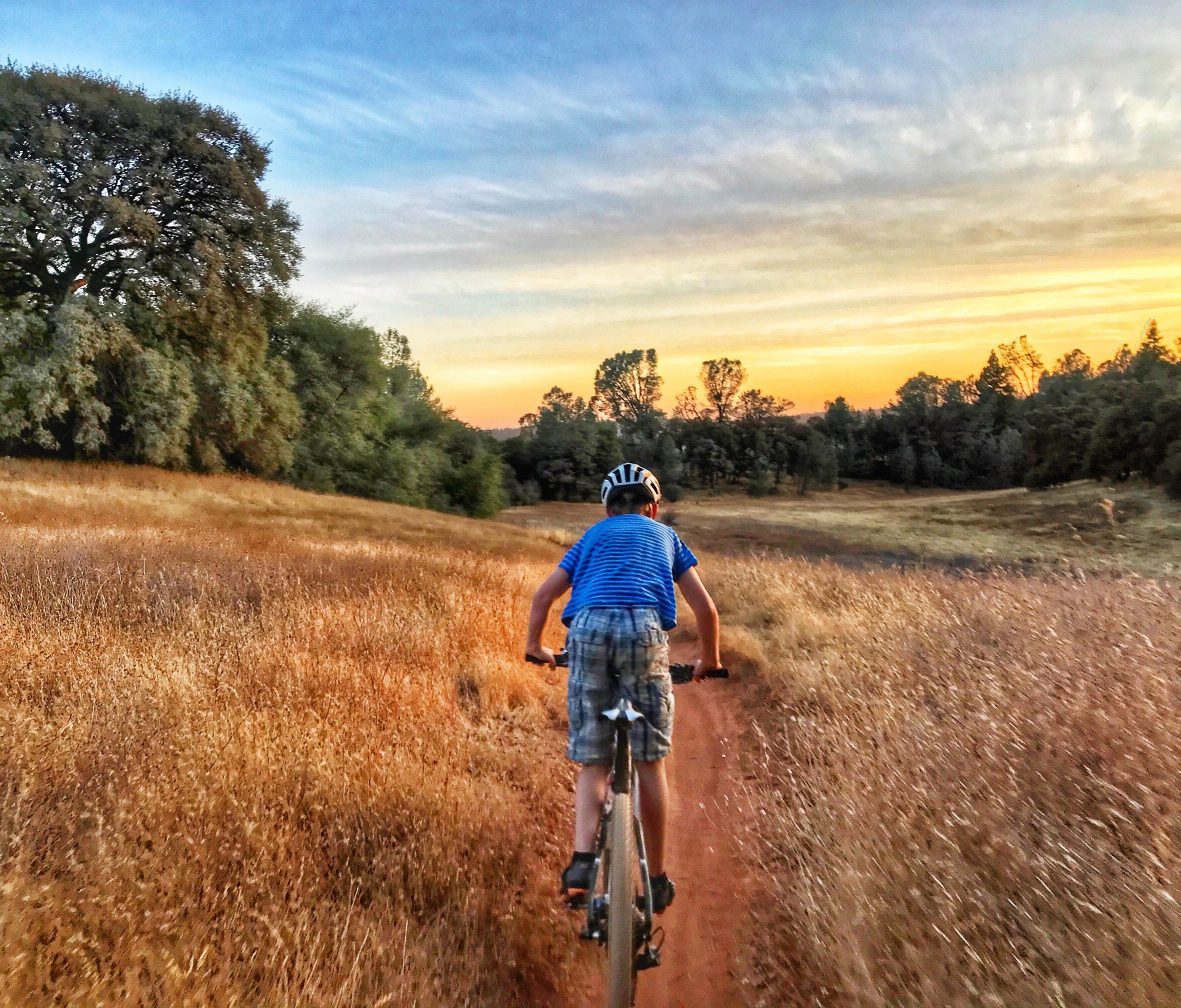 A child riding a bicycle on a dirt trail through a golden field during sunset, surrounded by trees and a colorful sky. Foresthill Divide mountain bike trail.