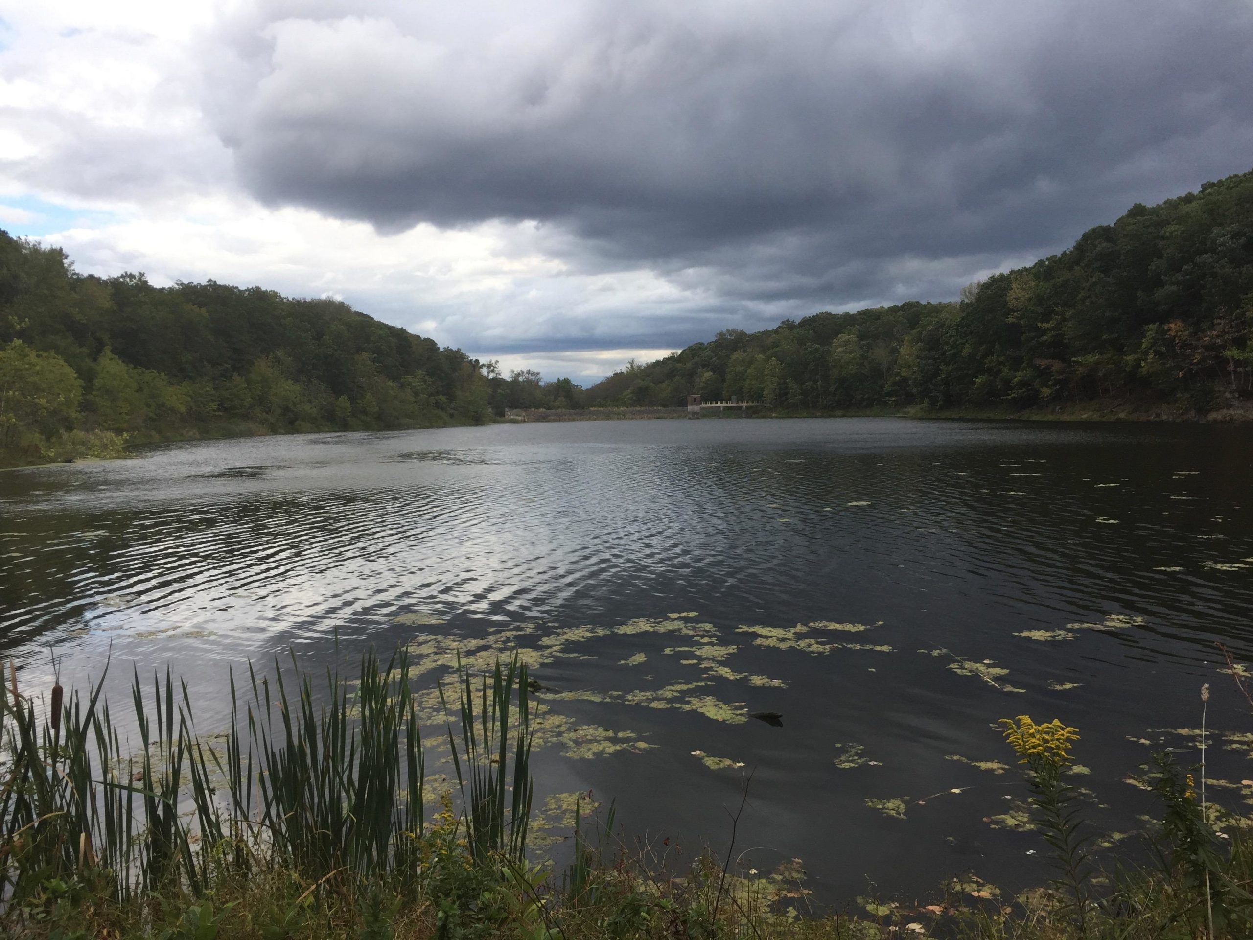 A serene lake surrounded by lush green trees under a cloudy sky, with gentle ripples on the water's surface and patches of water plants along the shore. Chimney Rock mountain bike trail.