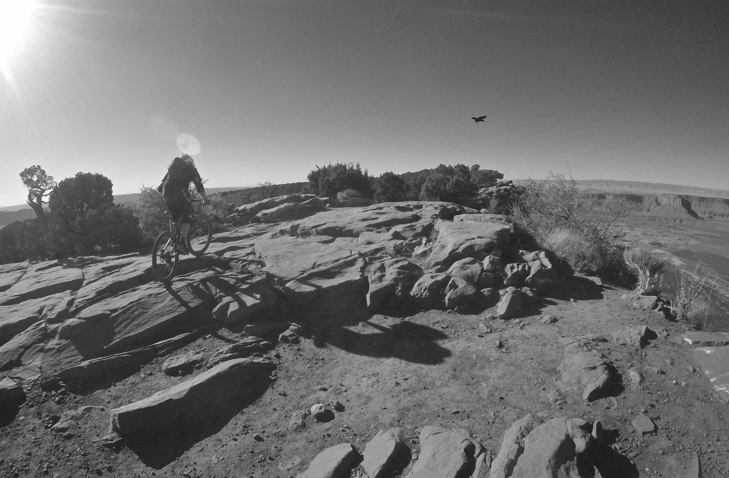 A mountain biker navigating rocky terrain under bright sunlight, with a bird flying overhead against a clear sky. Sparse vegetation and canyon views are visible in the background, creating a dynamic outdoor scene. Porcupine Rim mountain bike trail.