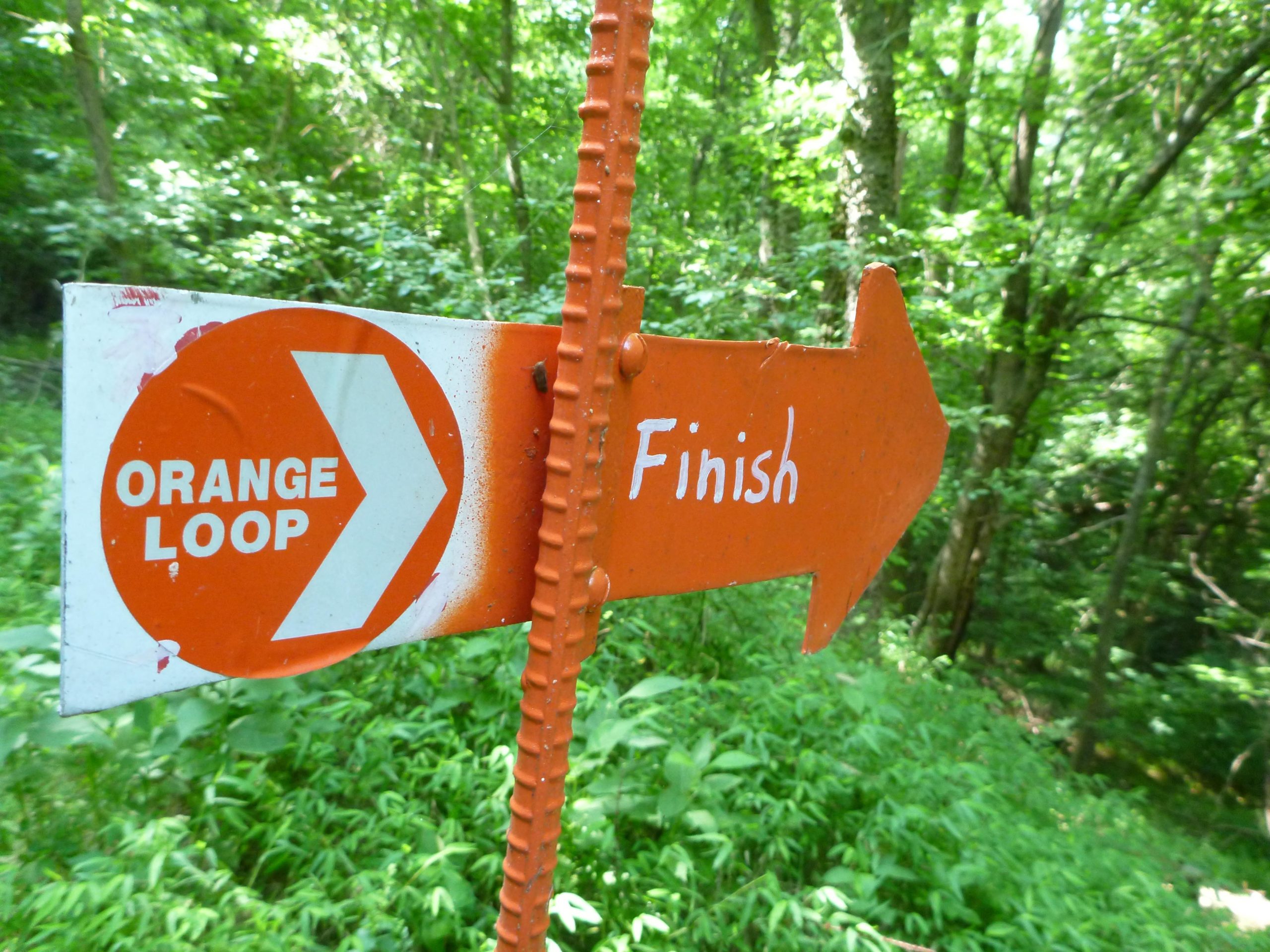 A directional sign in a wooded area, featuring an orange circular symbol with the text "ORANGE LOOP" and a right-pointing arrow labeled "Finish." The background displays lush green foliage, indicating a natural outdoor setting. Angler's Ridge mountain bike trail.