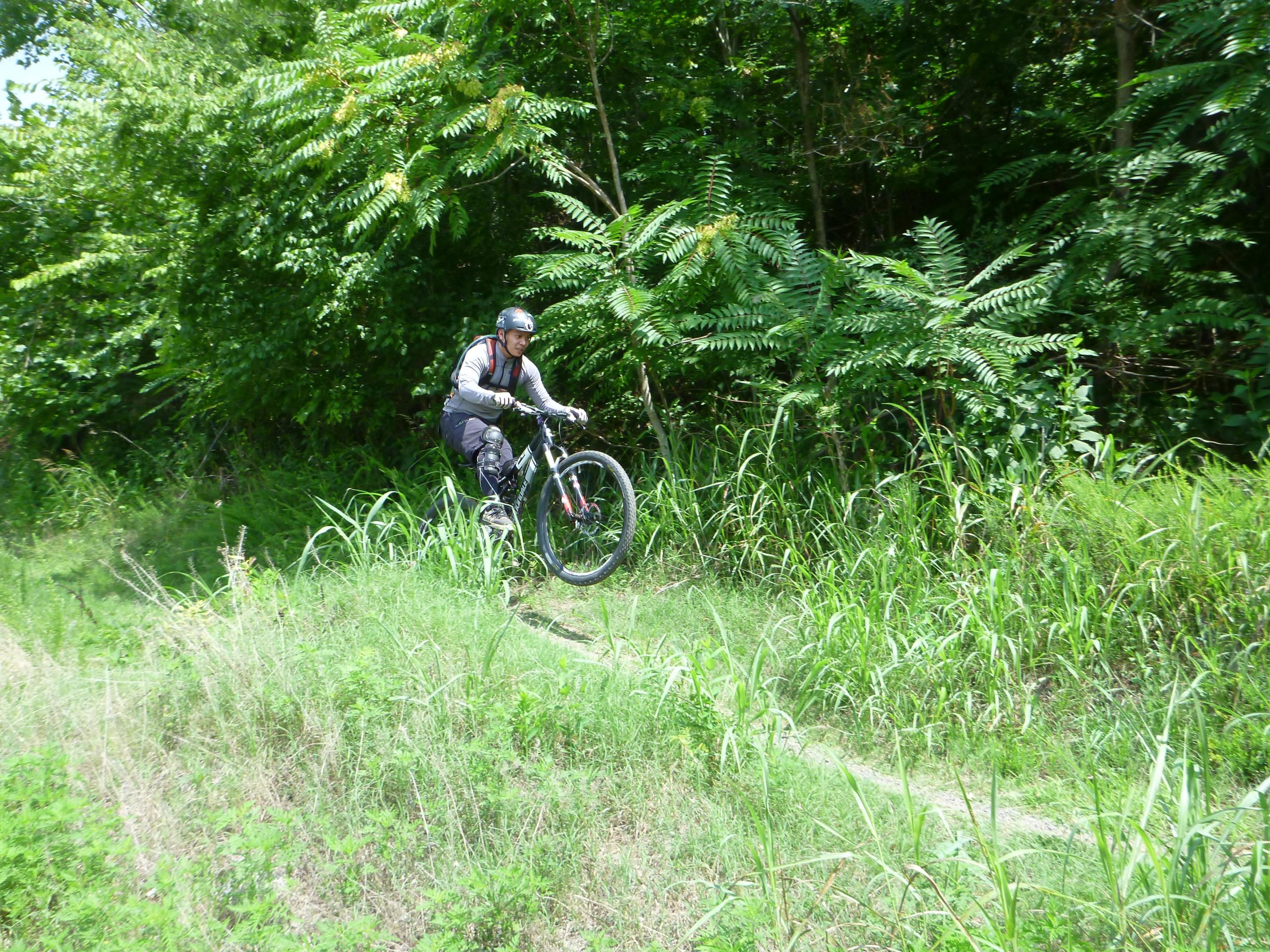 A mountain biker performing a jump on a dirt path surrounded by dense greenery and tall grass on a sunny day. Angler's Ridge mountain bike trail.
