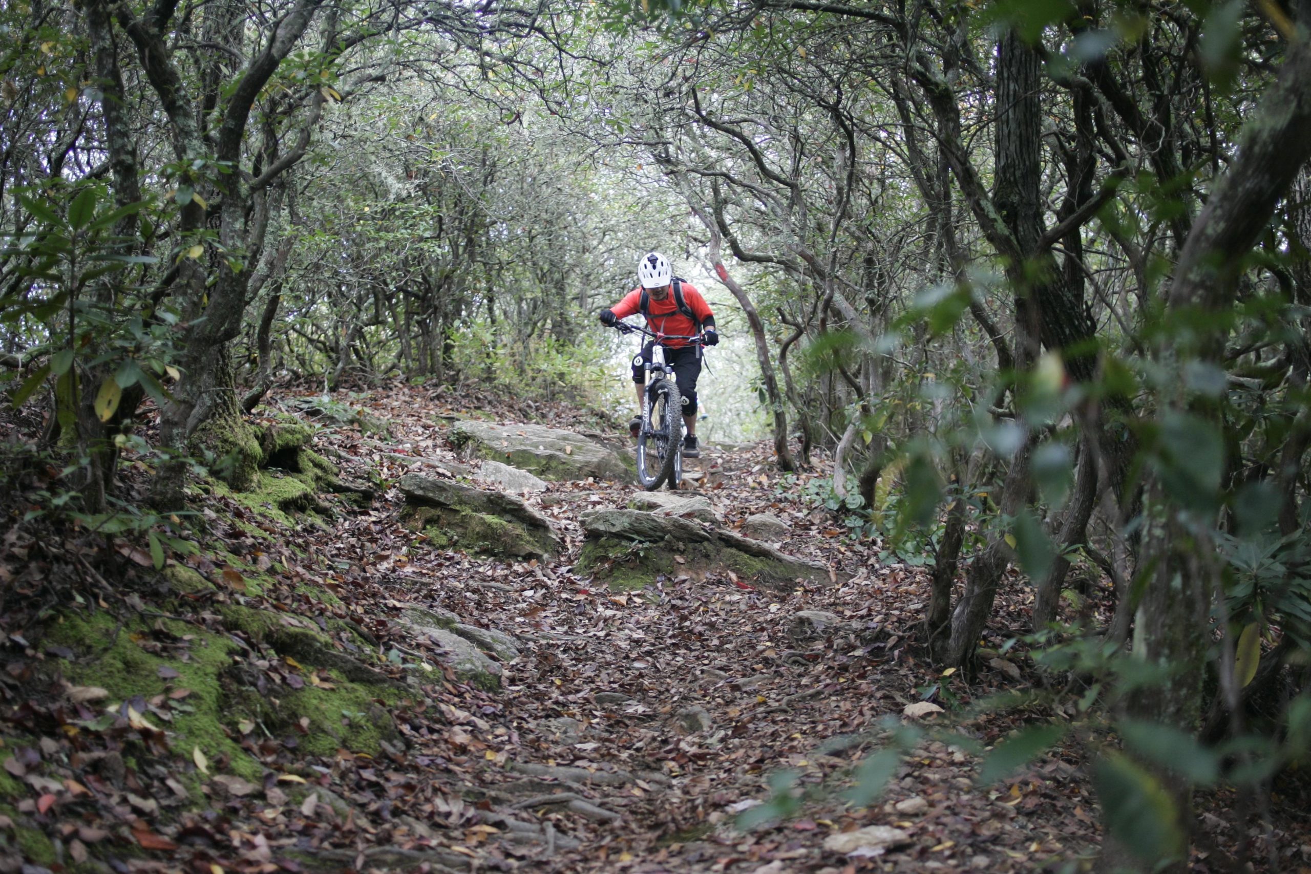 A mountain biker navigates a rocky trail surrounded by dense trees and autumn foliage. The cyclist, wearing a helmet and an orange jacket, is focused as they ride through the rugged landscape. Bennett Gap / 138 mountain bike trail.