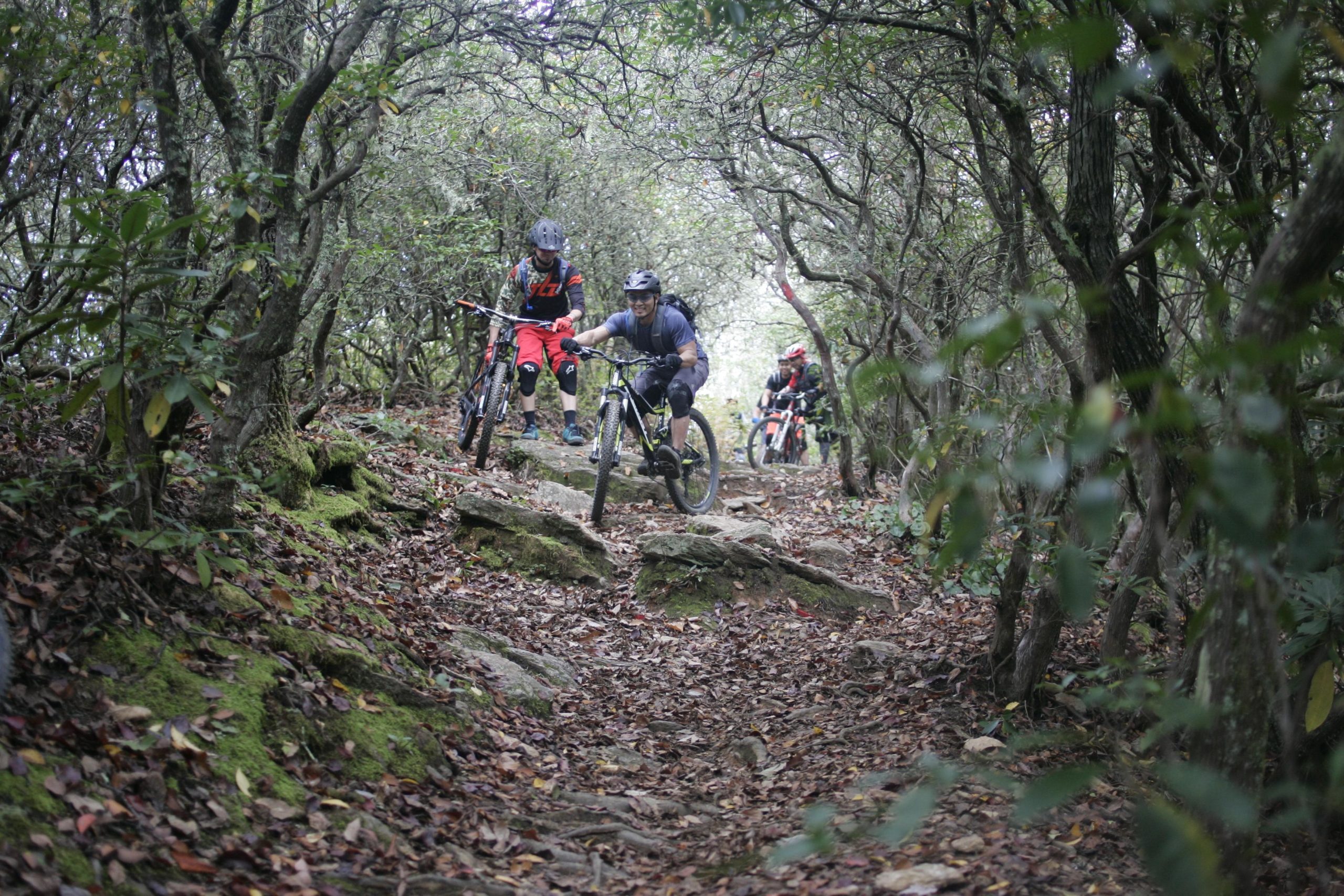 Mountain bikers navigating a rocky trail surrounded by lush, green vegetation in a wooded area. The scene captures three cyclists, with two pushing their bikes uphill and one riding further back. Fallen leaves cover the ground, and the dense foliage creates a natural, adventurous atmosphere. Bennett Gap / 138 mountain bike trail.