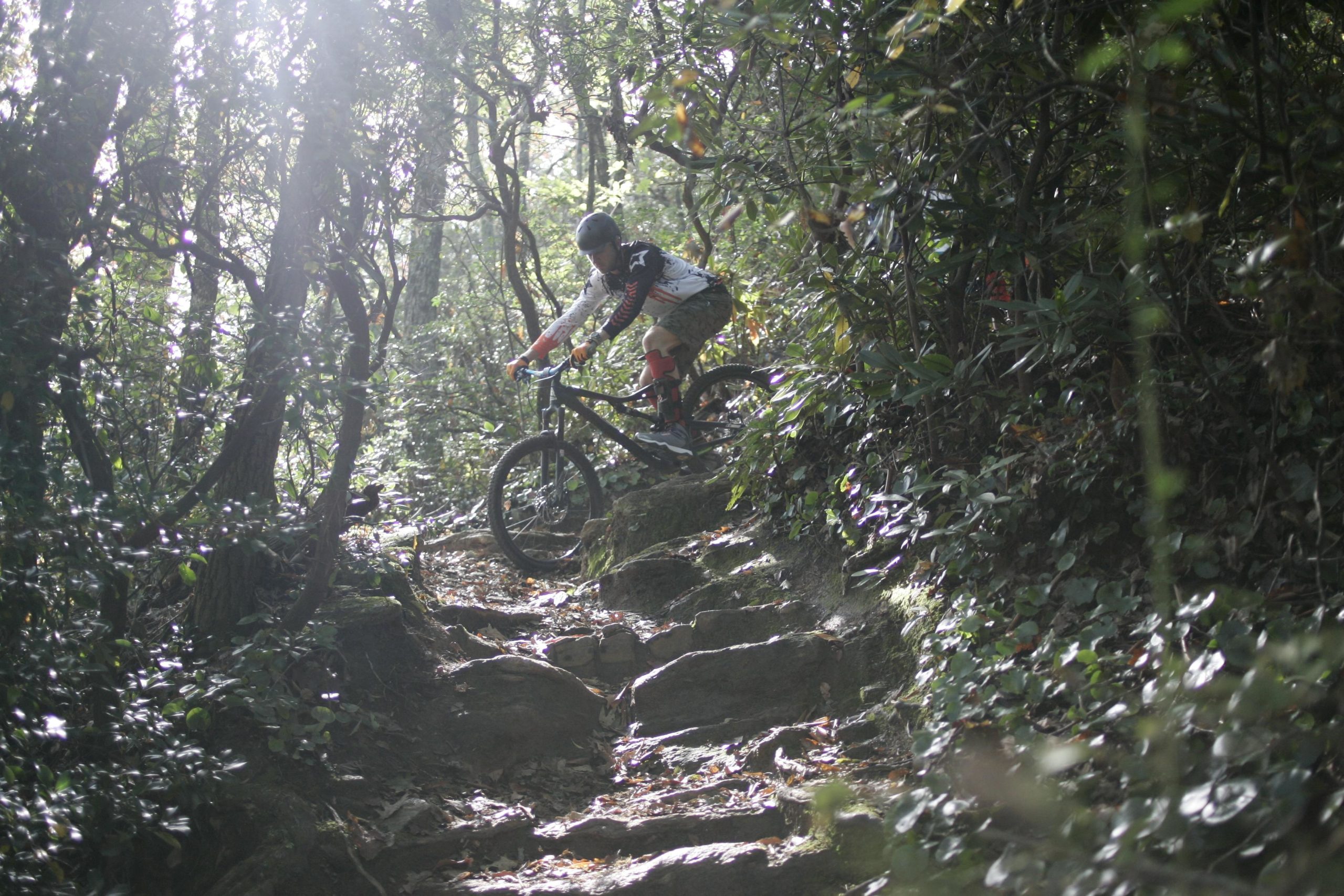 A mountain biker navigating a rocky, uneven trail surrounded by dense trees and foliage, with sunlight filtering through the leaves. Bennett Gap / 138 mountain bike trail.