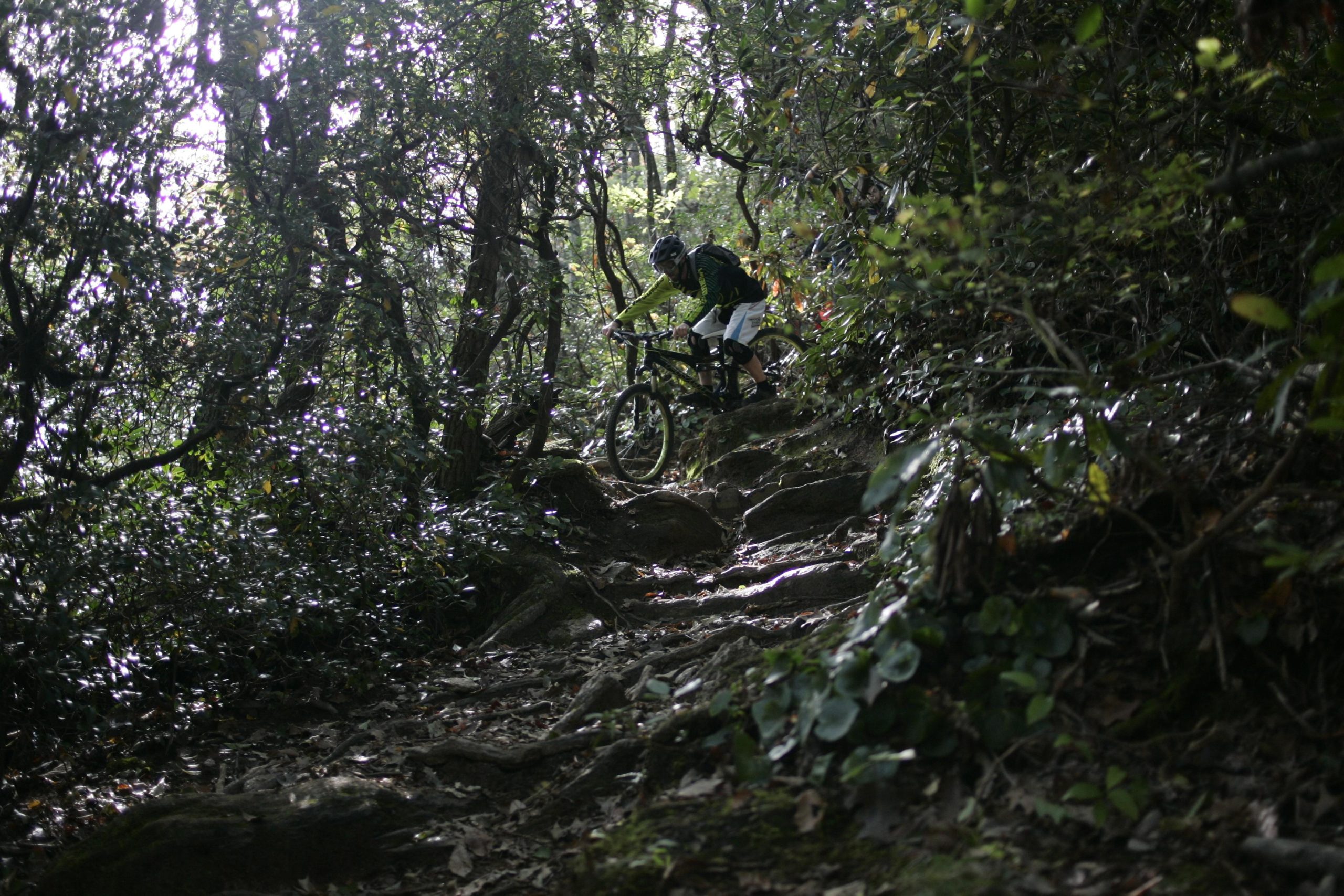 A mountain biker navigating a rocky trail through a dense forest, surrounded by lush greenery and trees. The path is uneven with visible rocks and roots, emphasizing the challenging terrain. Bennett Gap / 138 mountain bike trail.
