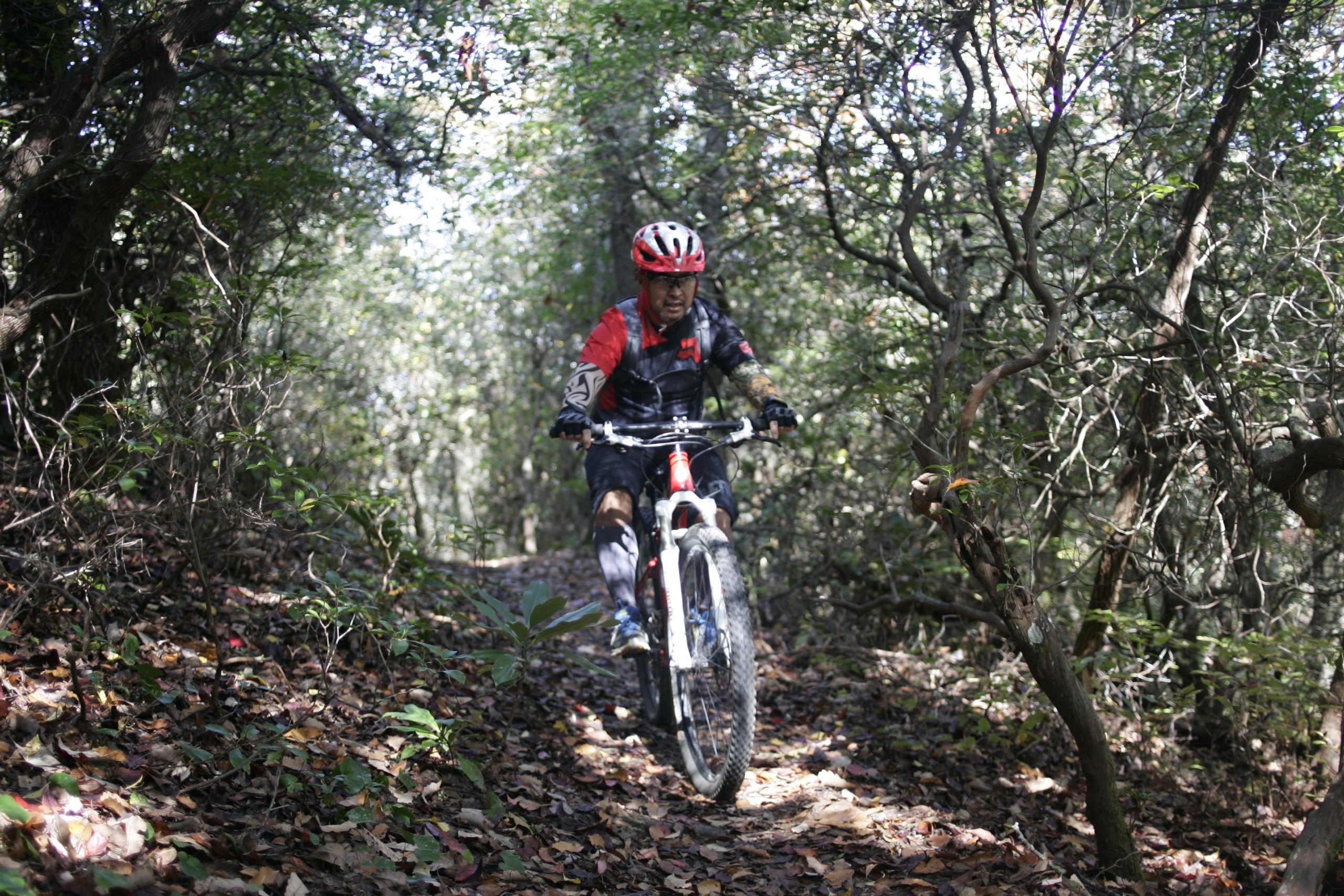 A mountain biker navigating a narrow trail surrounded by dense vegetation and fallen leaves, wearing a red helmet and a short-sleeve cycling jersey. Sunlight filters through the trees, highlighting the path ahead. Bennett Gap / 138 mountain bike trail.