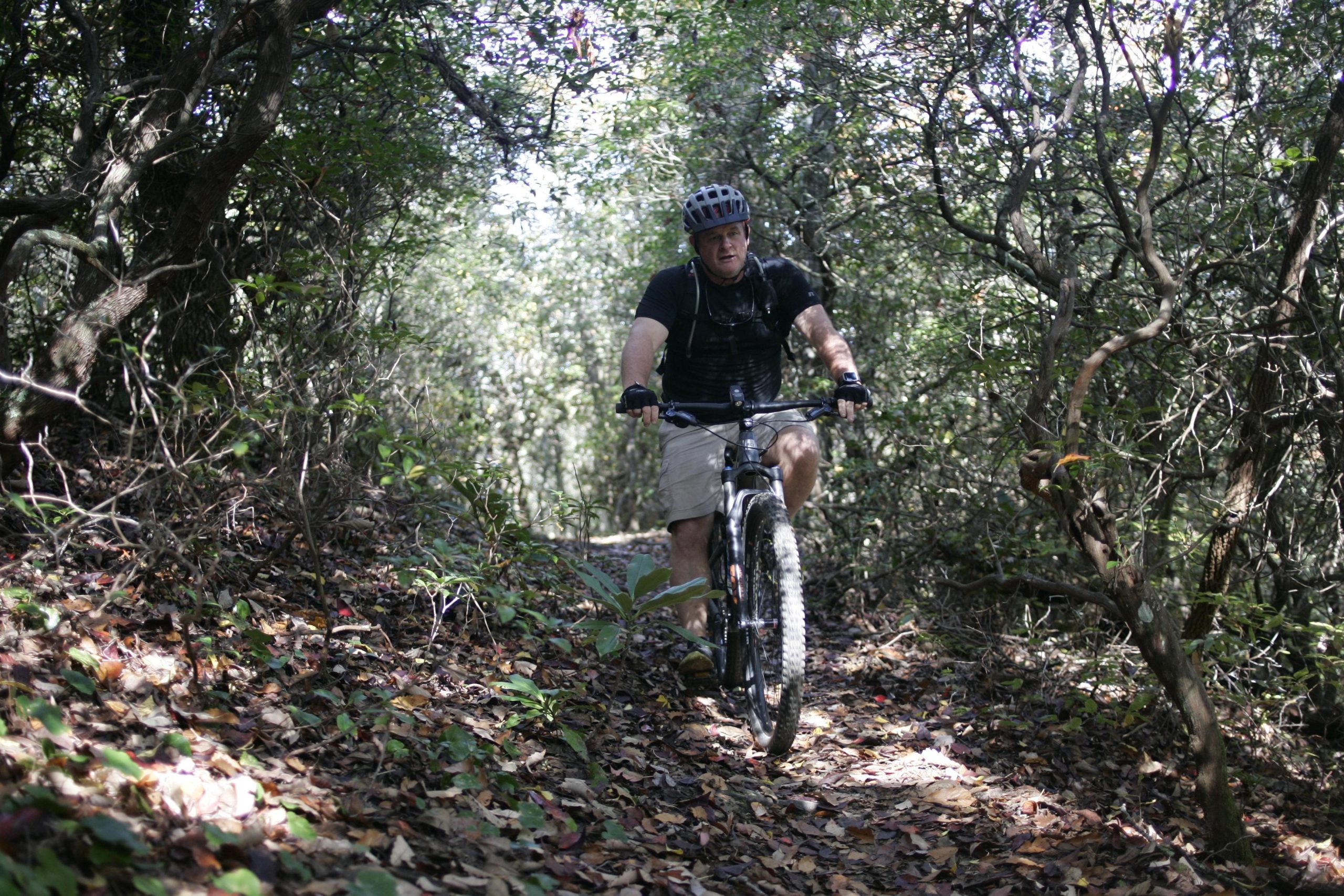 A person riding a mountain bike on a narrow trail surrounded by dense foliage and trees. The ground is covered with fallen leaves, and sunlight filters through the branches overhead. The cyclist is wearing a helmet and is dressed in a short-sleeved shirt and shorts. Bennett Gap / 138 mountain bike trail.