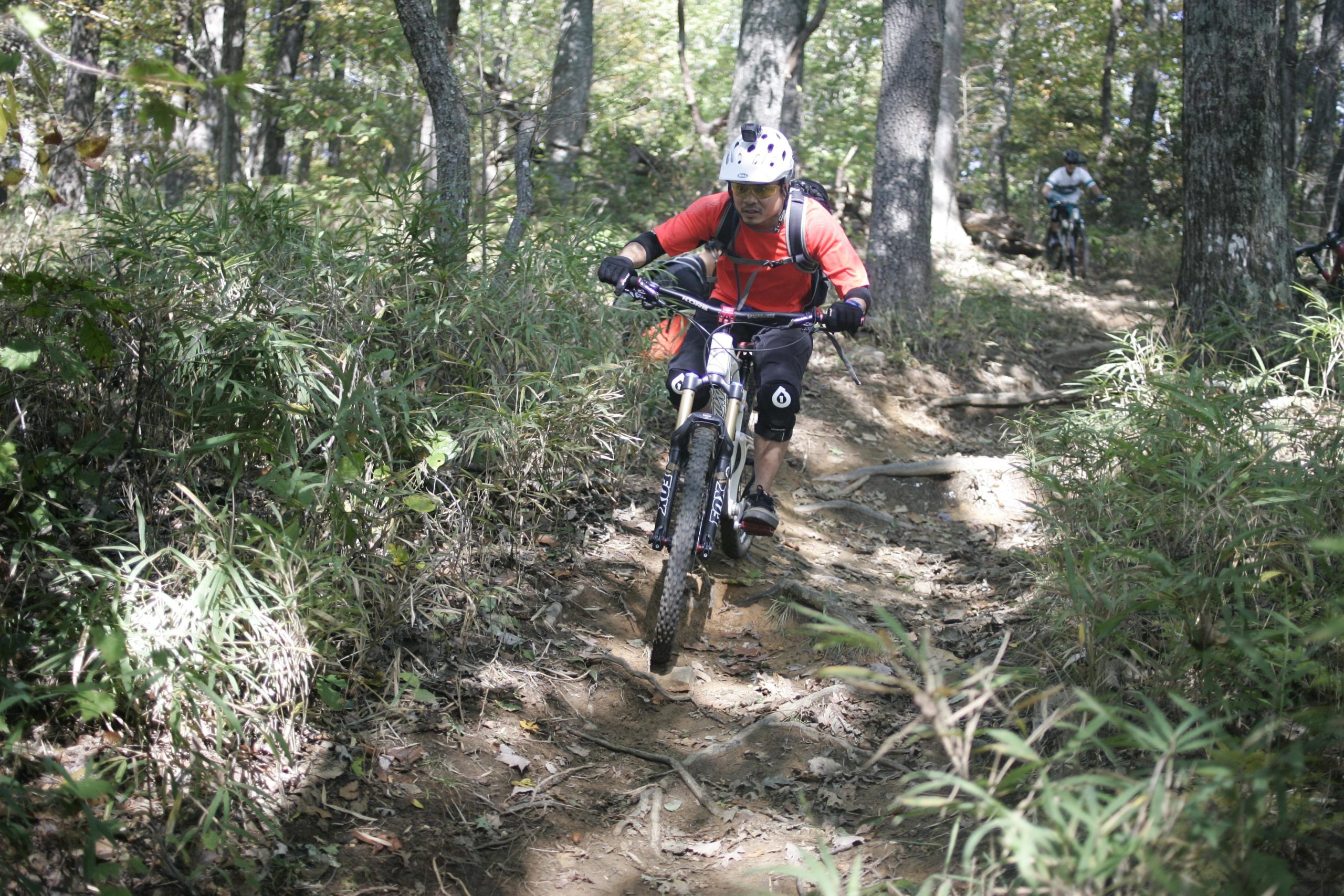 A mountain biker navigating a narrow, rugged trail in a forested area, surrounded by trees and vegetation. The biker is wearing a red jersey, protective gear, and a helmet, focused on maintaining balance while riding over roots and uneven terrain. Bennett Gap / 138 mountain bike trail.