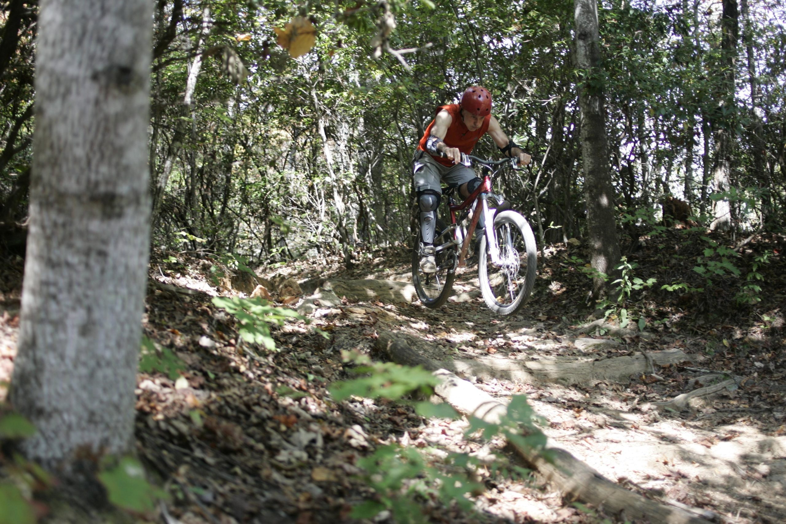 A mountain biker in protective gear rides down a rocky trail through a wooded area, surrounded by trees and underbrush, capturing the thrill of outdoor cycling. Black Mountain mountain bike trail.