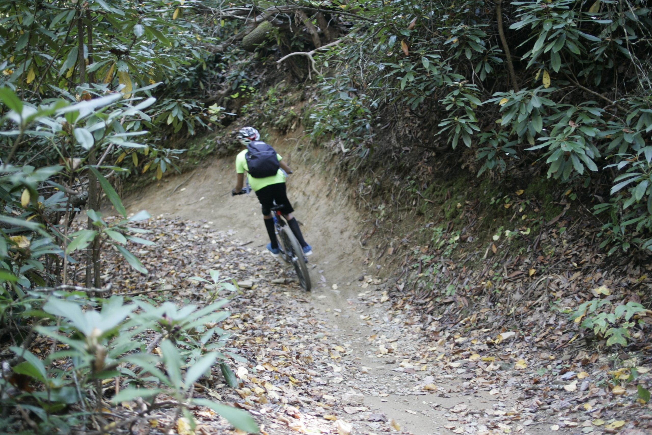A person riding a mountain bike along a narrow, dirt trail surrounded by lush greenery and fallen leaves. The cyclist is wearing a bright yellow shirt and a backpack, navigating through a dense forest area. Black Mountain mountain bike trail.