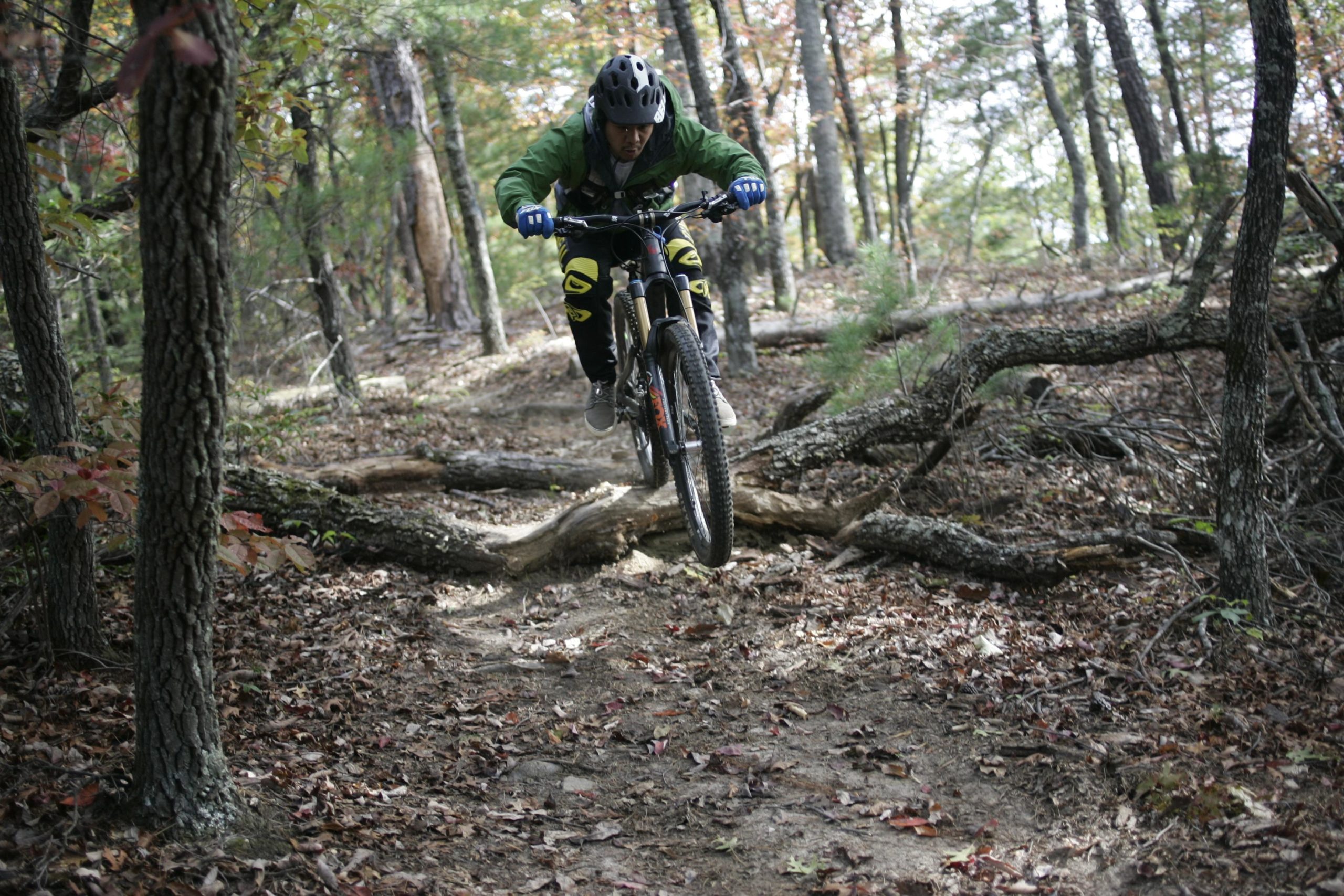 A mountain biker wearing a helmet and protective gear jumps over a fallen log on a dirt trail surrounded by trees in a forest. The autumn foliage adds color to the scene. Sinkhole mountain bike trail.