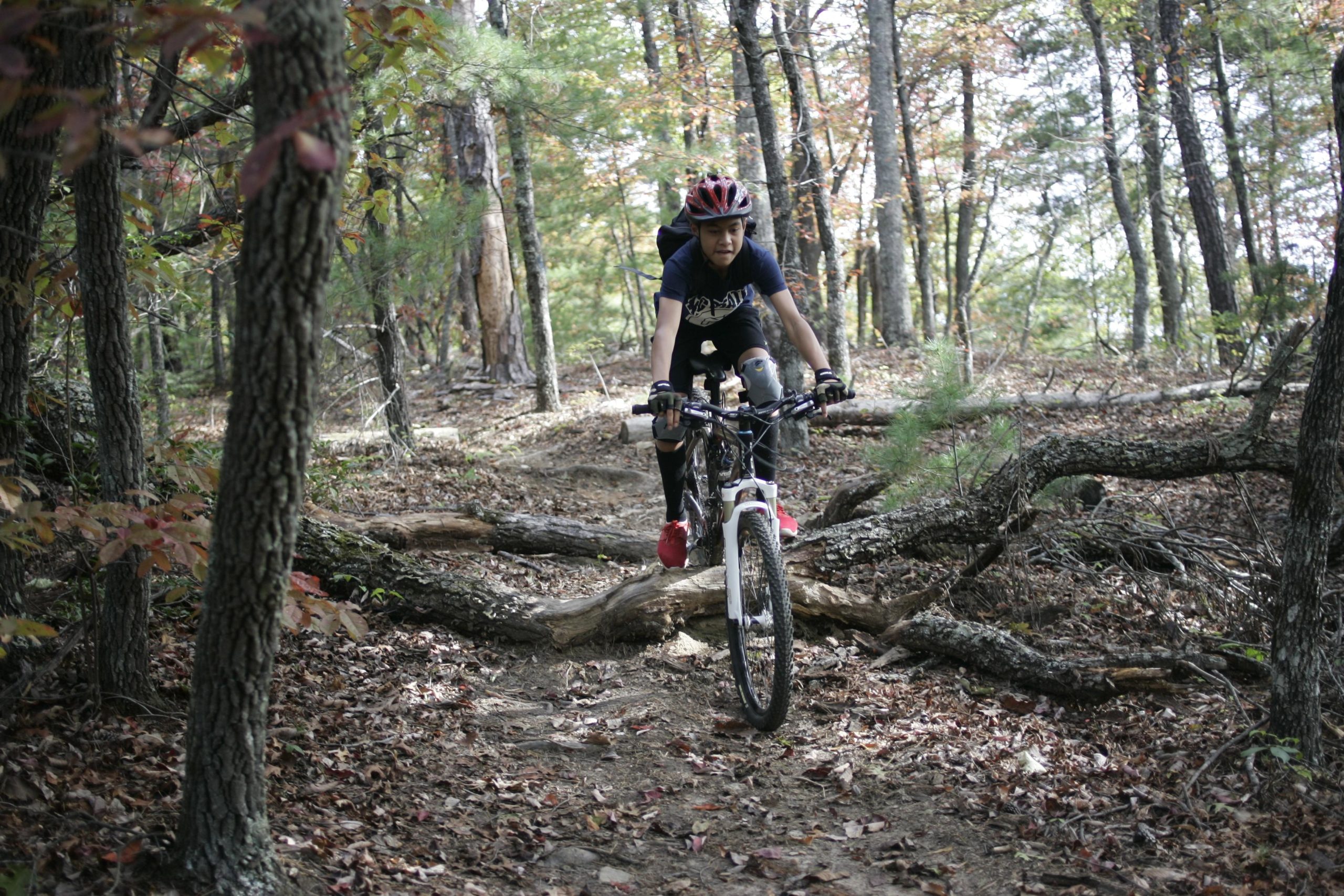 A person riding a mountain bike over a rugged trail in a forest, navigating around fallen logs and surrounded by trees with autumn foliage. The rider is wearing a helmet and protective gear, showcasing an active outdoor lifestyle. Sinkhole mountain bike trail.