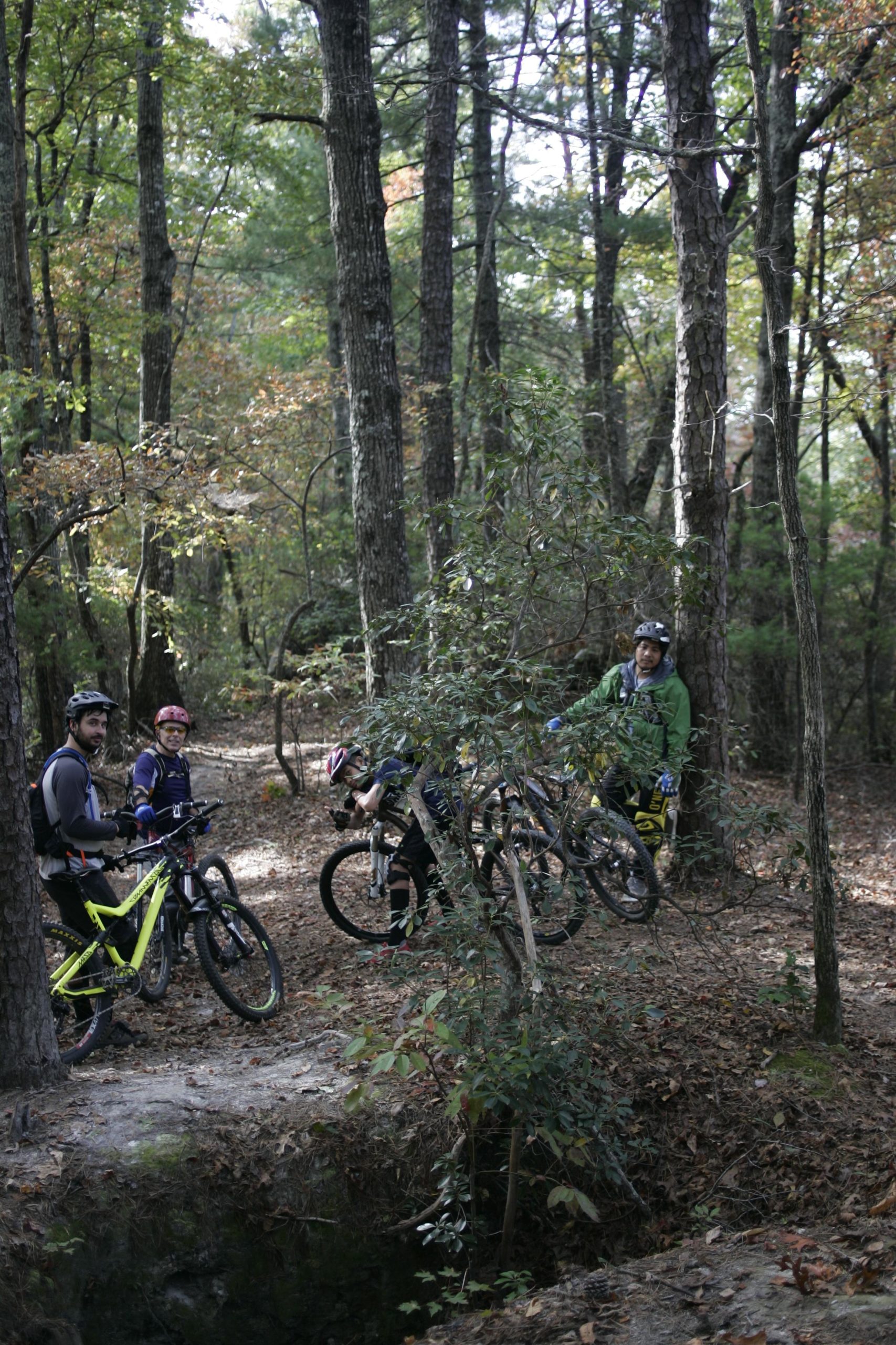 Four mountain bikers are gathered in a wooded area, surrounded by tall trees and autumn foliage. Two of them are holding their bikes, while the others are smiling and looking towards the camera. The ground is covered in leaves, and there is a small dip in the terrain nearby. Sinkhole mountain bike trail.