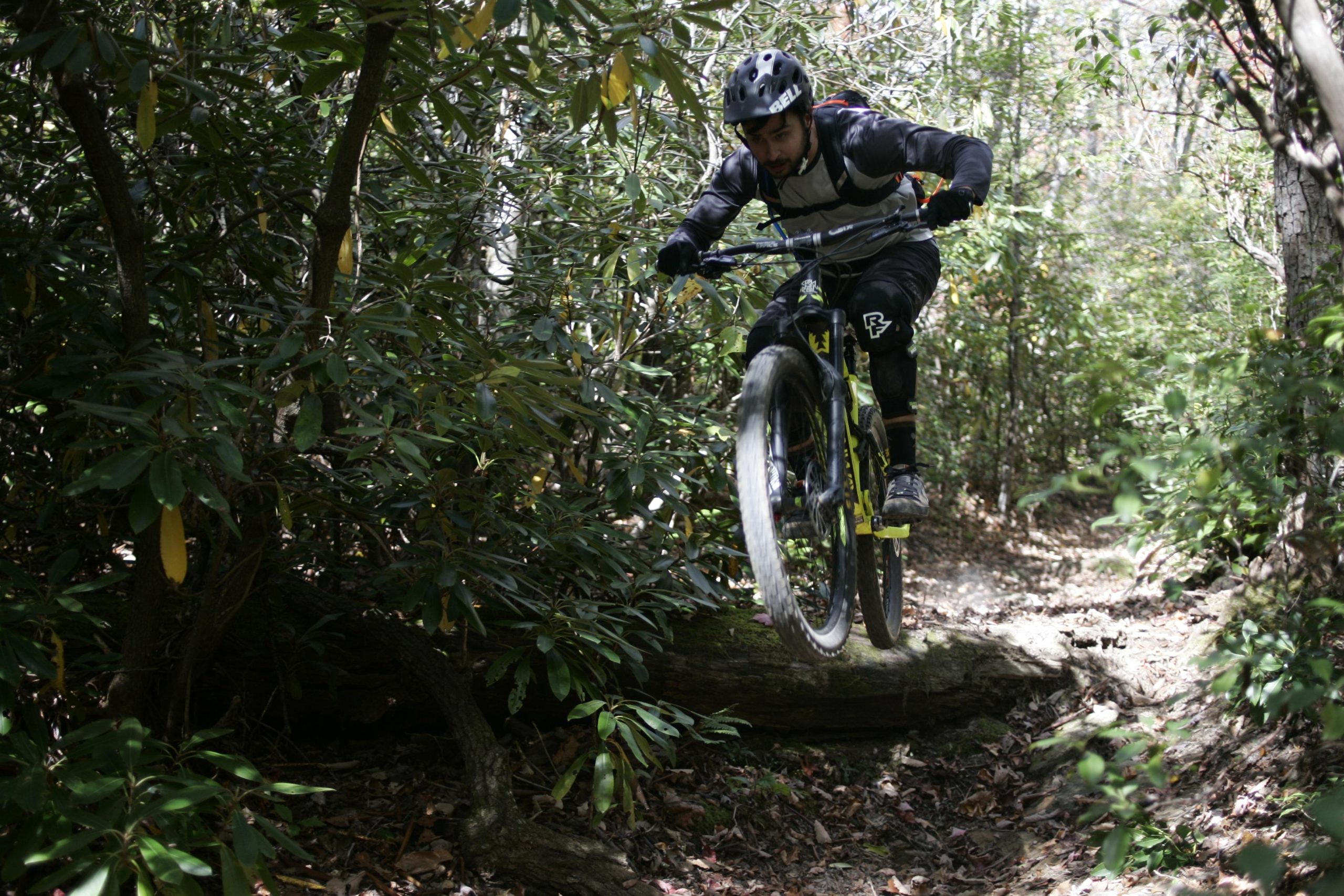 A mountain biker jumping over a fallen log on a wooded trail, surrounded by dense greenery and sunlight filtering through the leaves. The rider is wearing a helmet and protective gear, showcasing an action-packed moment in mountain biking. Table Rock mountain bike trail.