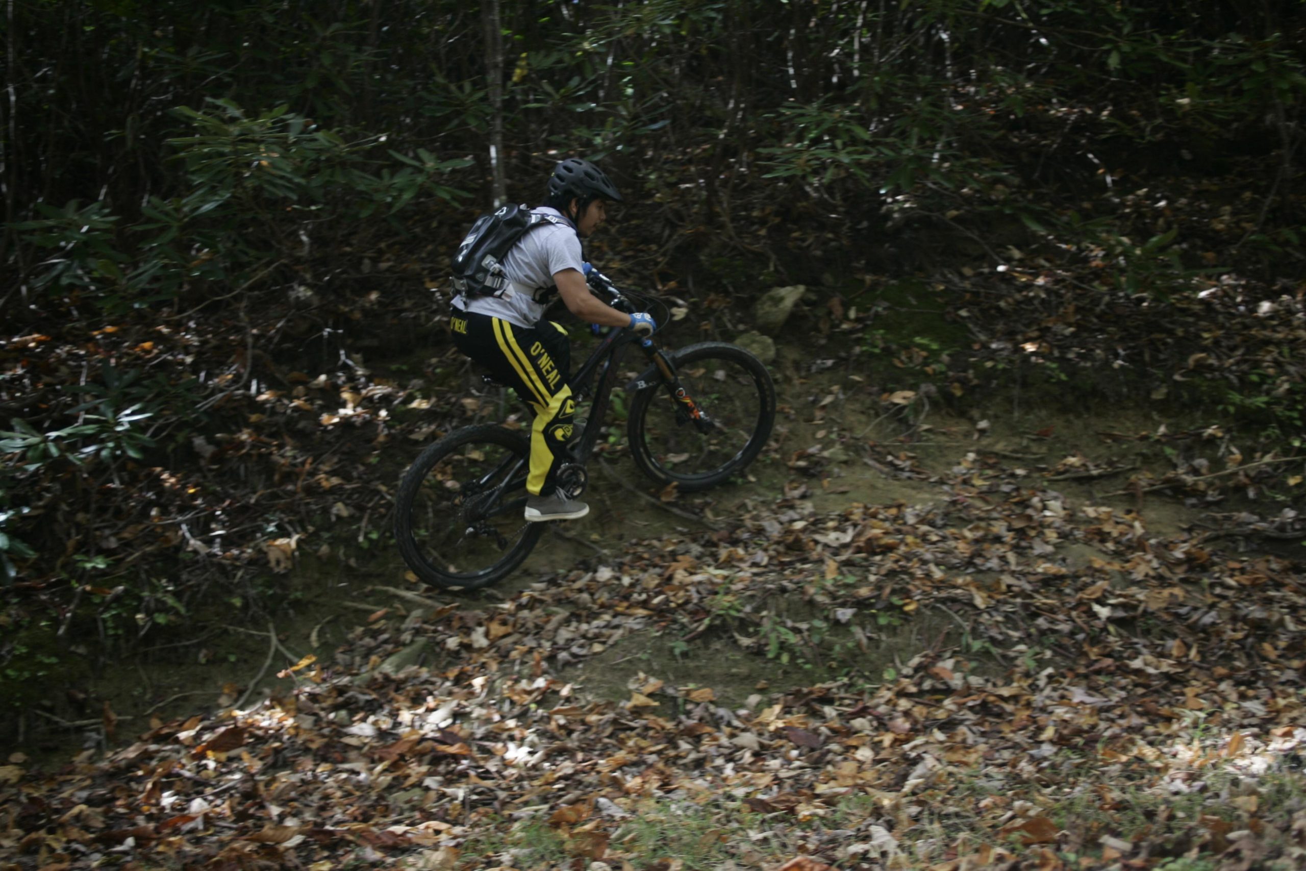 A mountain biker navigating a dirt trail covered in fallen leaves, surrounded by dense foliage. The rider is wearing a helmet and protective gear while riding a black mountain bike. Table Rock mountain bike trail.