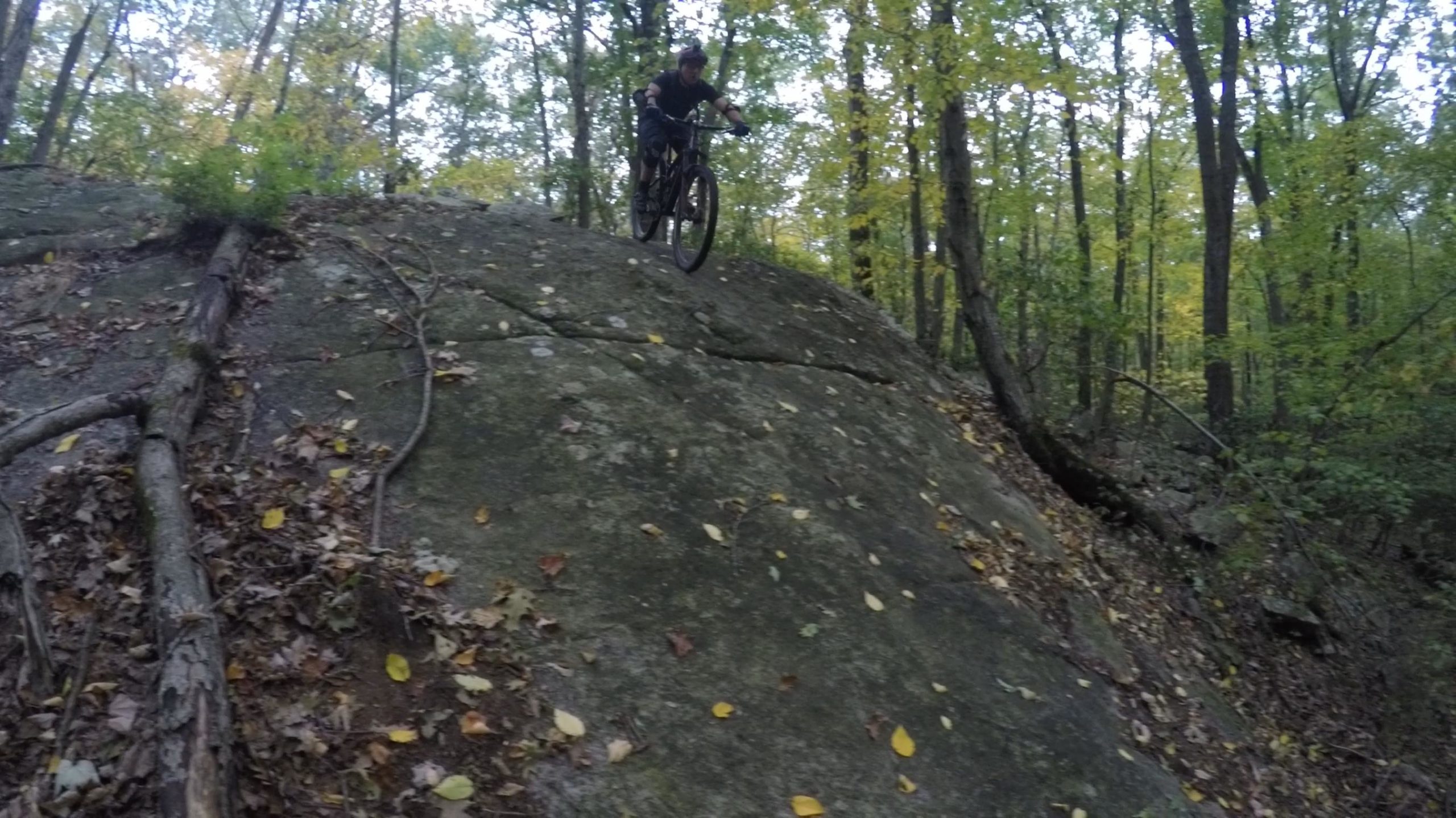 A mountain biker is riding down a rocky slope in a forested area, surrounded by autumn foliage. The ground is covered with leaves and branches, showcasing the natural environment. The biker is focused and balanced as they navigate the terrain. Supply Ponds mountain bike trail.