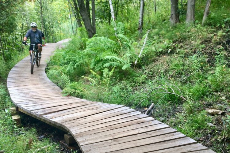 A person riding a mountain bike on a wooden path that winds through a lush green forest, surrounded by ferns and trees.