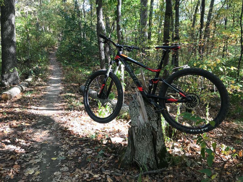 A mountain bike resting on a tree stump beside a winding dirt path in a forest setting, surrounded by green foliage and autumn leaves. Pontiac Lake mountain bike trail.