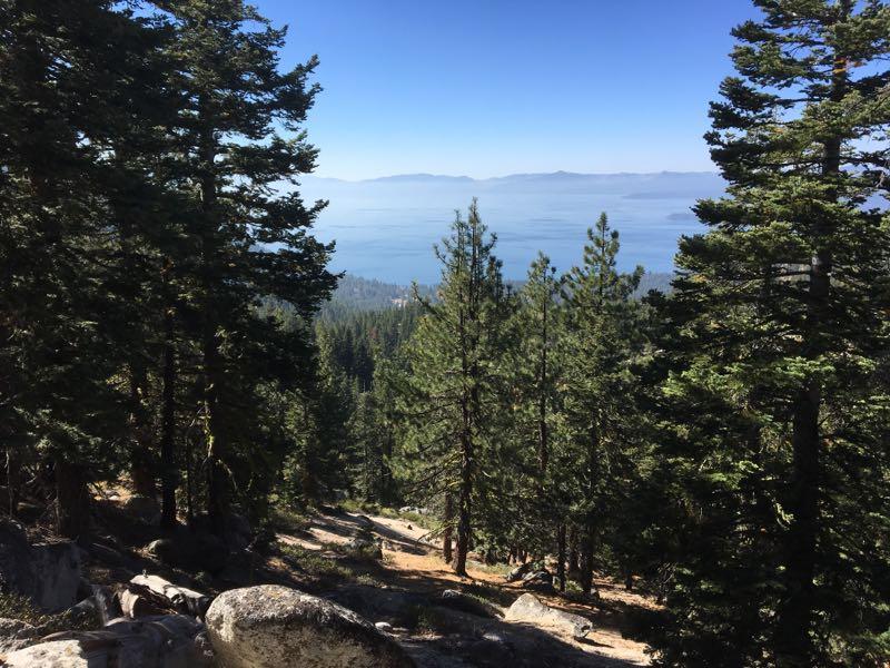 A scenic view of a forest with tall green pine trees overlooking a serene blue lake and distant mountains under a clear sky. The foreground features rocky terrain and a path winding through the trees. Flume Trail mountain bike trail.