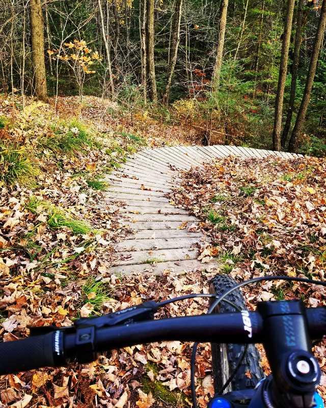 A winding wooden bike trail surrounded by fallen leaves and trees in a forest setting, viewed from the perspective of a cyclist. The Underdown mountain bike trail.