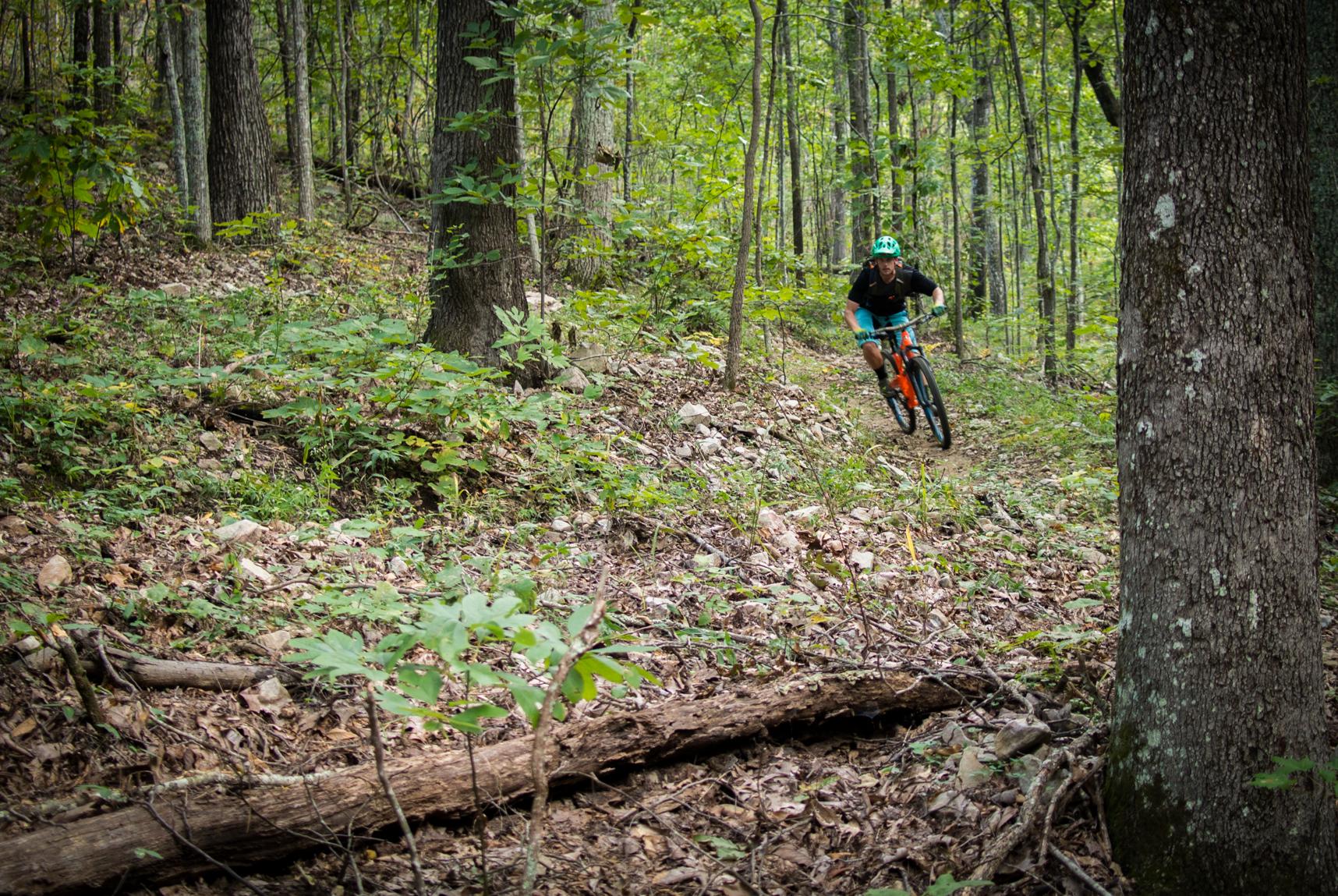 Orange Stage 5 RS: A mountain biker navigating a winding trail in a lush, wooded area, surrounded by trees and greenery. The cyclist is wearing a helmet and riding an orange bike, while the ground is covered with leaves and rocks.