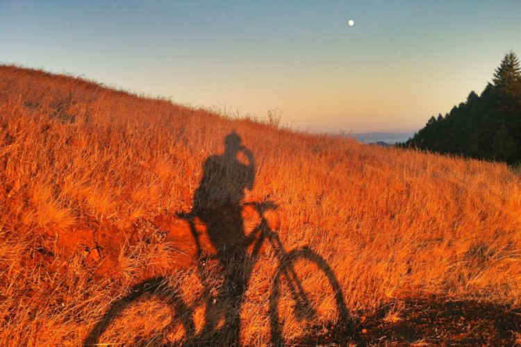 A shadow of a person on a mountain bike, set against a backdrop of golden grass and a clear sky with a visible moon. The scene showcases a tranquil outdoor environment during sunset.