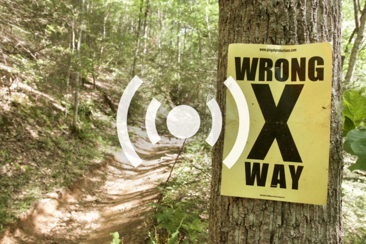 A yellow sign attached to a tree in a forest area, prominently displaying the words "WRONG WAY" in large black letters. The background features a winding dirt path surrounded by greenery and trees, indicating a hiking trail or outdoor area.