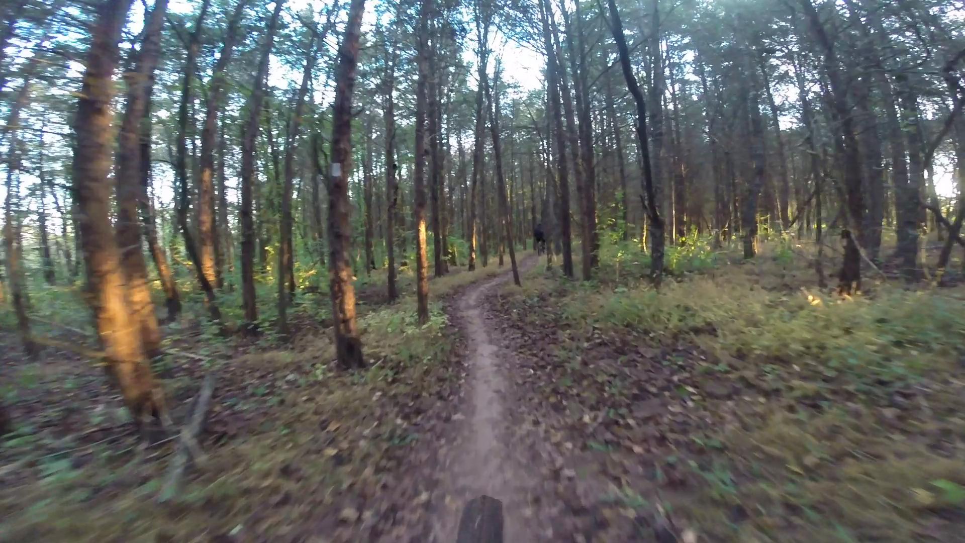 A narrow dirt trail winding through a dense forest of tall trees. The sunlight filters through the leaves, creating dappled lighting across the path and surrounding vegetation. Fallen leaves and patches of grass are visible along the sides of the trail. Six Mile Run mountain bike trail.