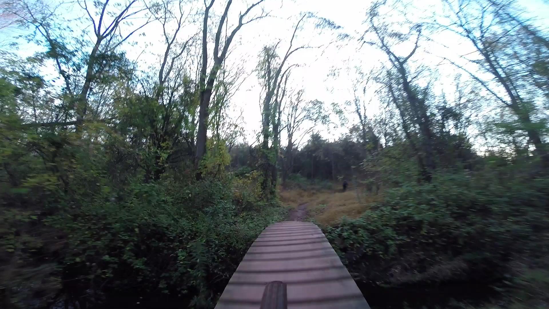 Wooden bridge crossing a creek, surrounded by trees and underbrush in a tranquil forest setting. The scene is captured in soft natural light, creating a serene atmosphere. Six Mile Run mountain bike trail.