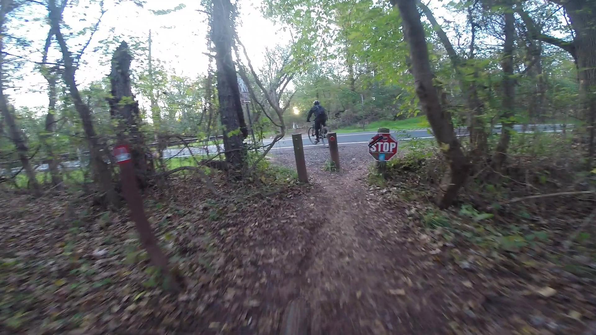 A cyclist riding on a dirt path surrounded by trees, approaching a stop sign near a road. The ground is covered in fallen leaves, and the scene is illuminated by soft natural light filtering through the foliage. Six Mile Run mountain bike trail.