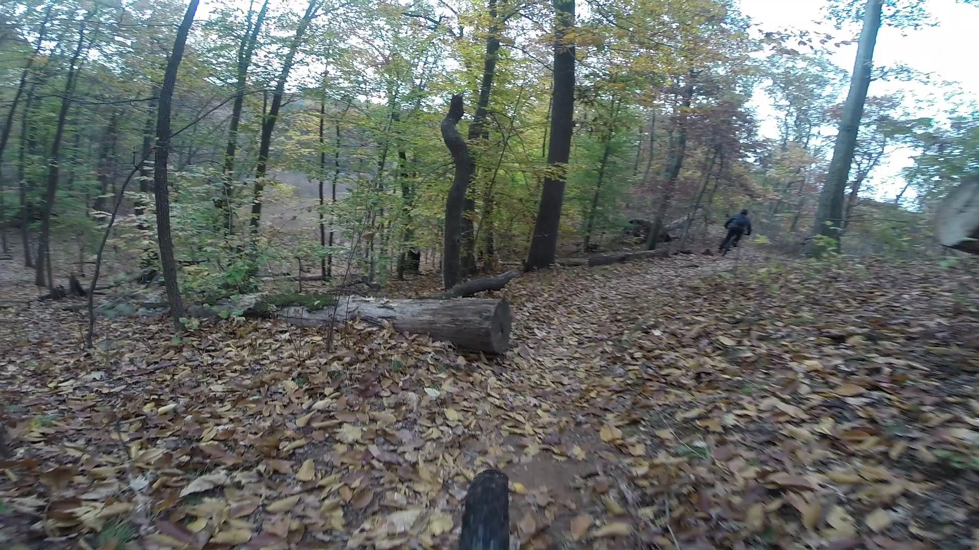 A scenic view of a wooded trail during autumn, featuring trees with colorful leaves and a path covered in fallen leaves. In the background, a person is seen riding a mountain bike along the trail, navigating around a log. The atmosphere conveys a sense of adventure and outdoor activity. Richmond Avenue and Forest Hill road mountain bike trail.